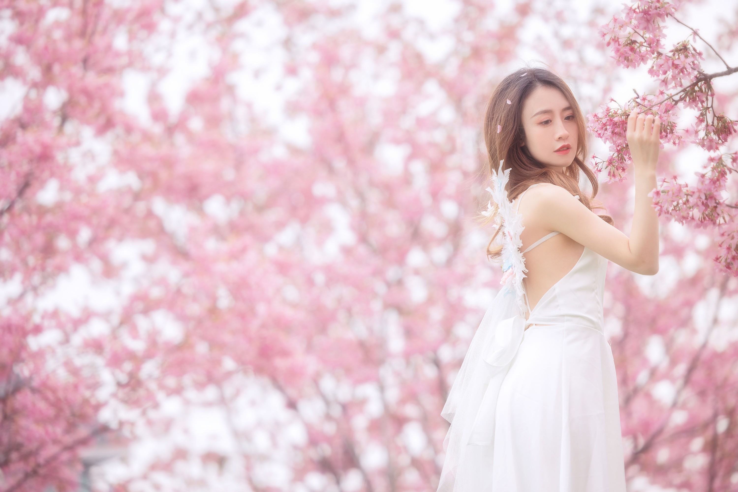 图片[4] - 子依 - 《樱花》[29P] - 机器猫次元 - 机器猫次元