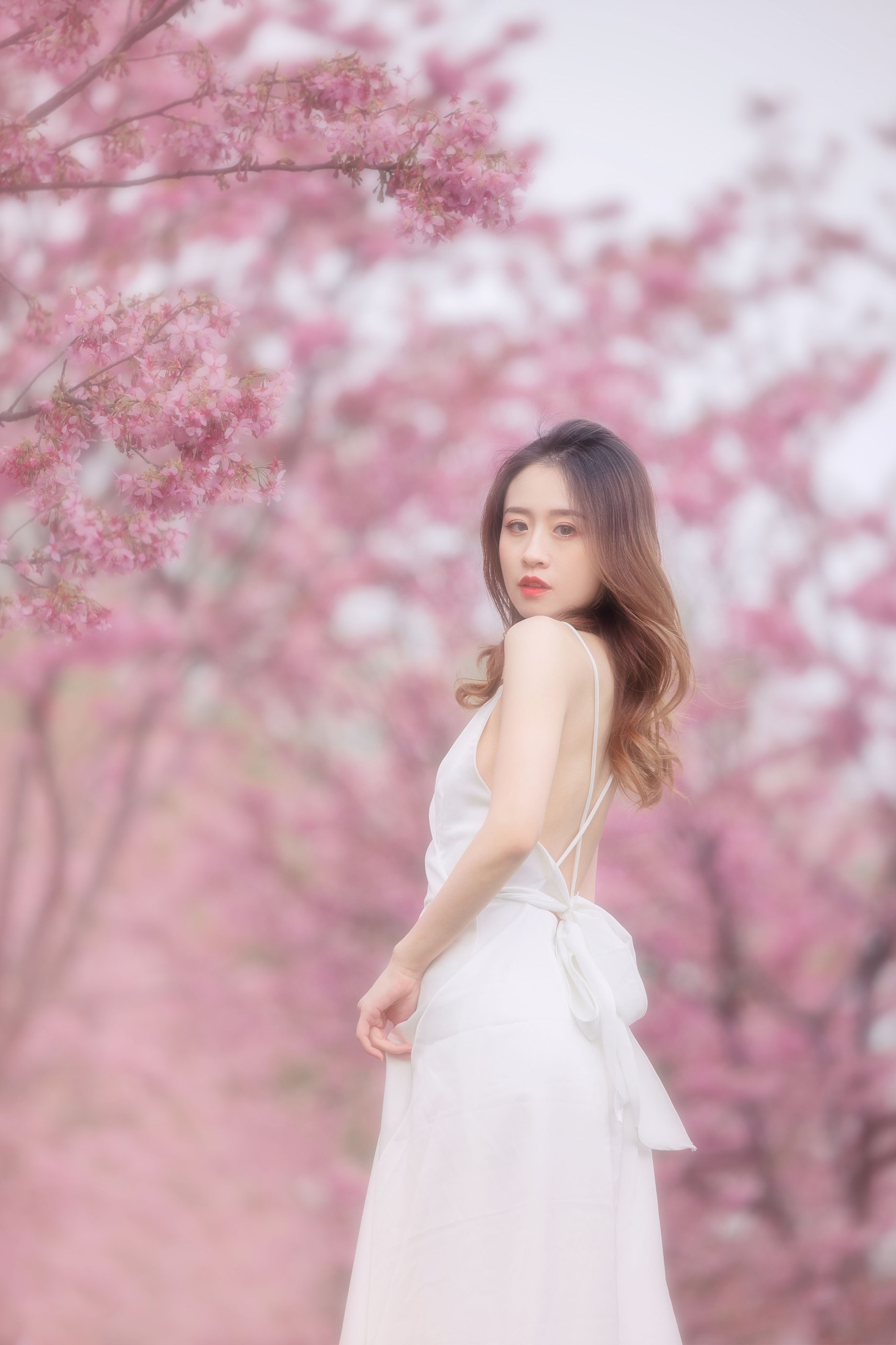 图片[3] - 子依 - 《樱花》[29P] - 机器猫次元 - 机器猫次元