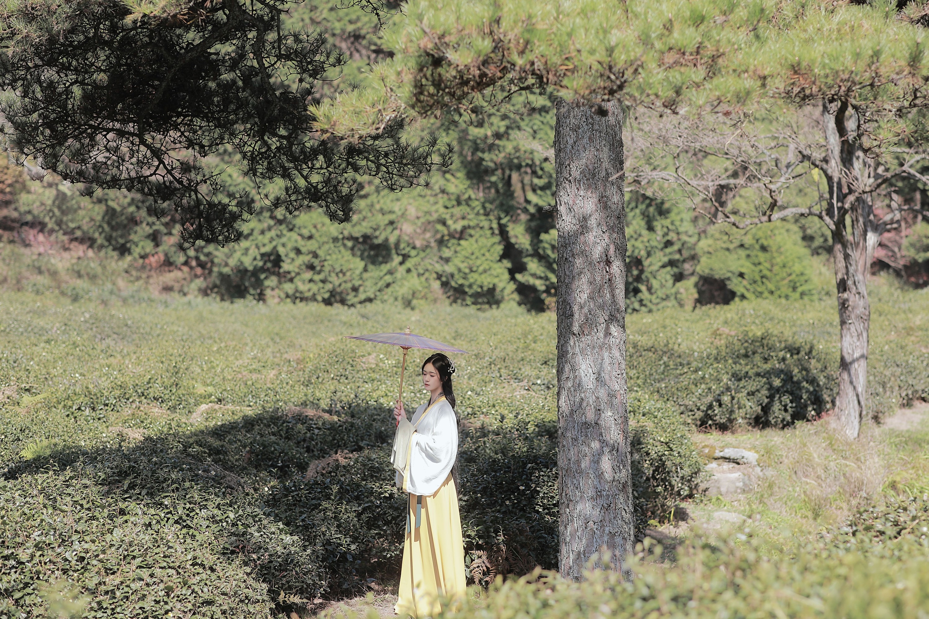 图片[5] - 之楠楠楠 - 《采茶女》[22P] - 机器猫次元 - 机器猫次元