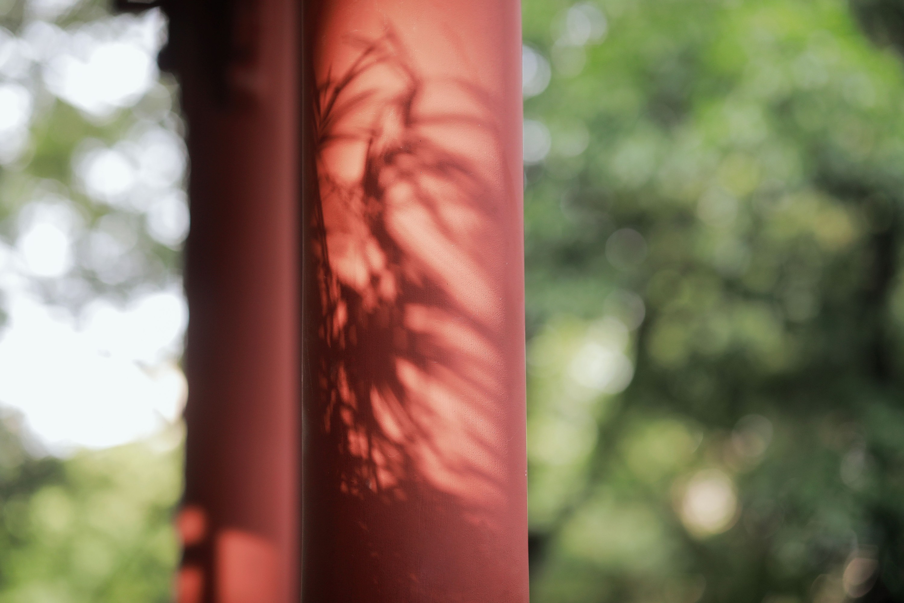 图片[5] - 嘉仪 - 《山居煎茶》[22P] - 机器猫次元 - 机器猫次元
