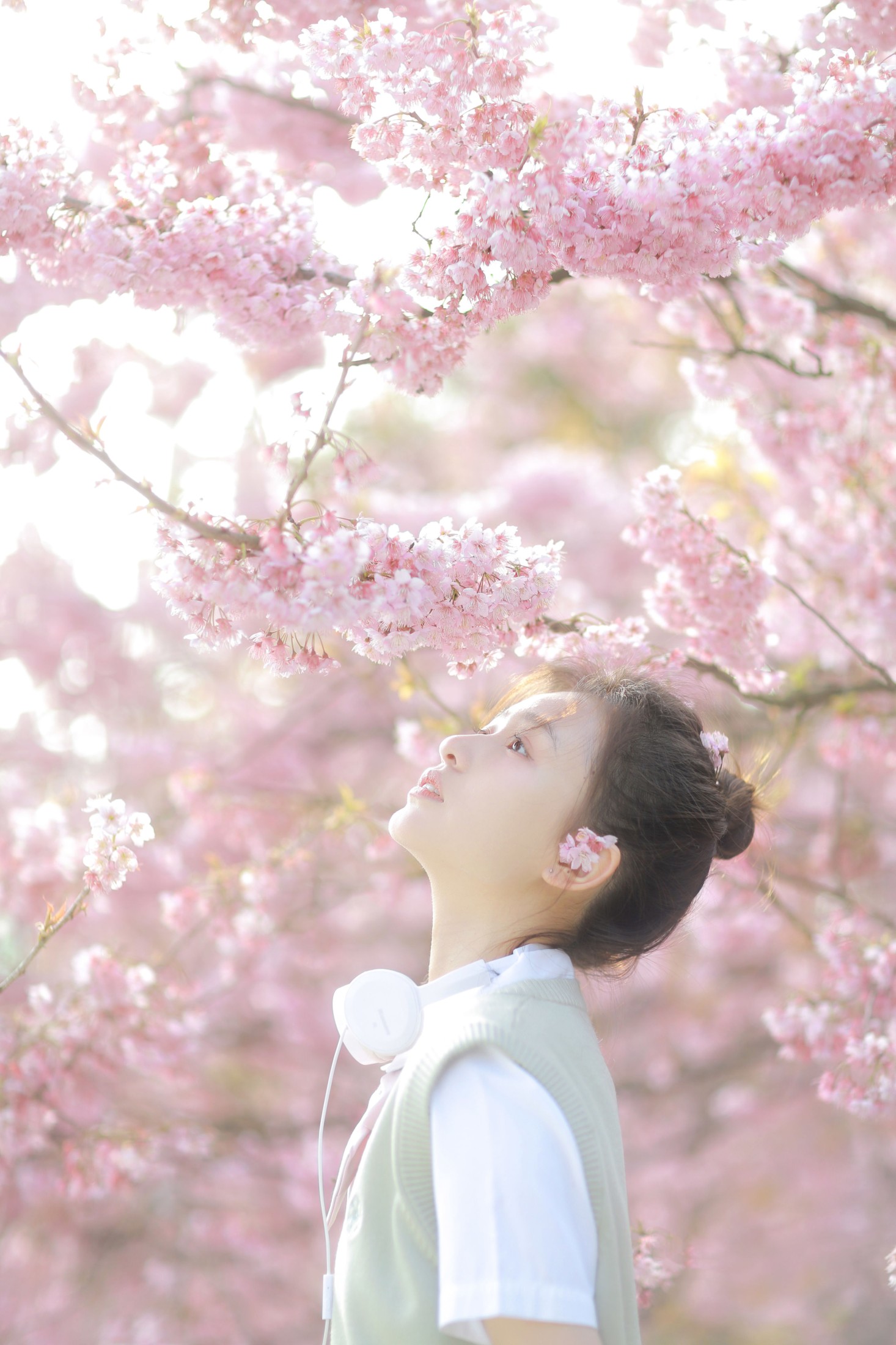 图片[3] - 瑞秋的快乐人生 - 《樱花下的春日心动》[23P] - 机器猫次元 - 机器猫次元