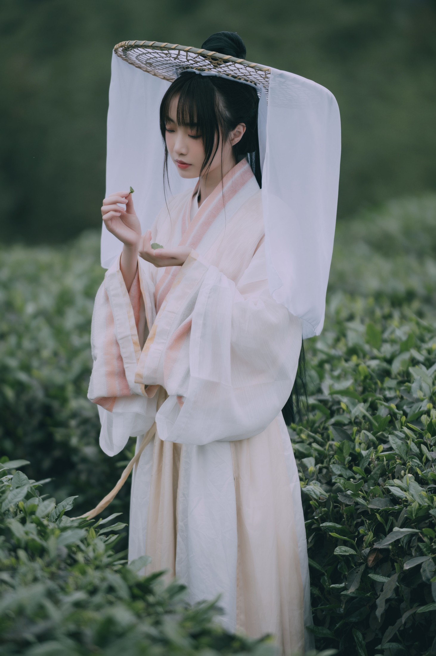 图片[8] - 蹭饭 - 《采茶东篱下》[20P] - 机器猫次元 - 机器猫次元