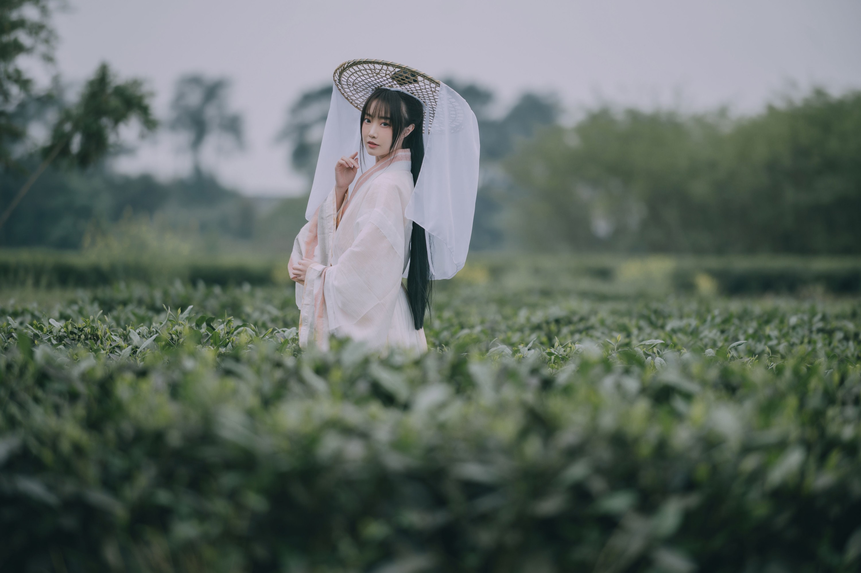 图片[5] - 蹭饭 - 《采茶东篱下》[20P] - 机器猫次元 - 机器猫次元