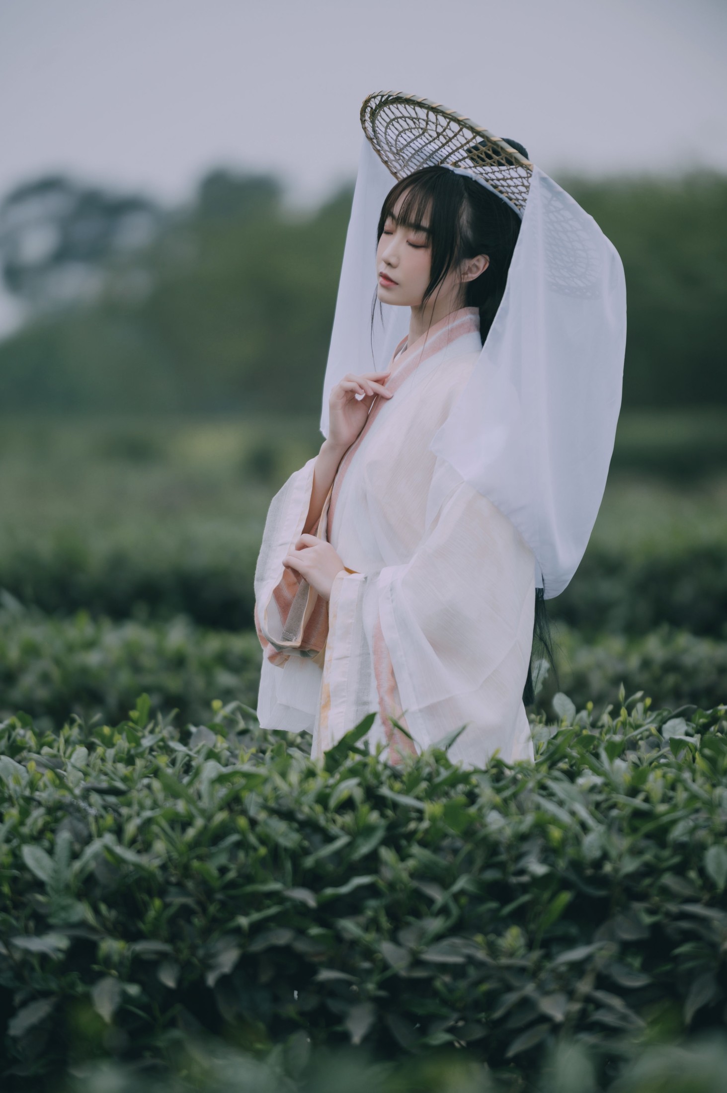 图片[7] - 蹭饭 - 《采茶东篱下》[20P] - 机器猫次元 - 机器猫次元