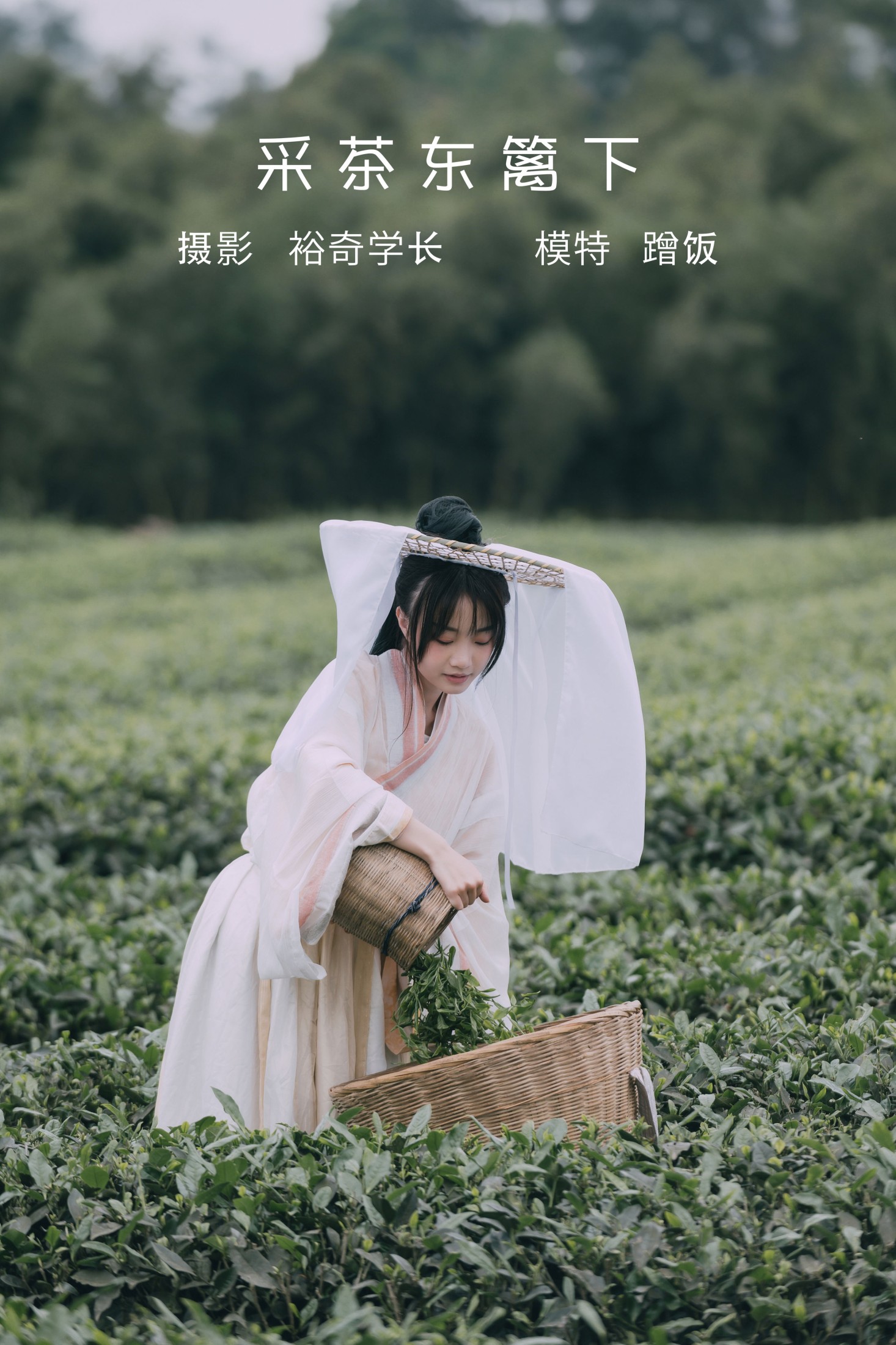 图片[1] - 蹭饭 - 《采茶东篱下》[20P] - 机器猫次元 - 机器猫次元