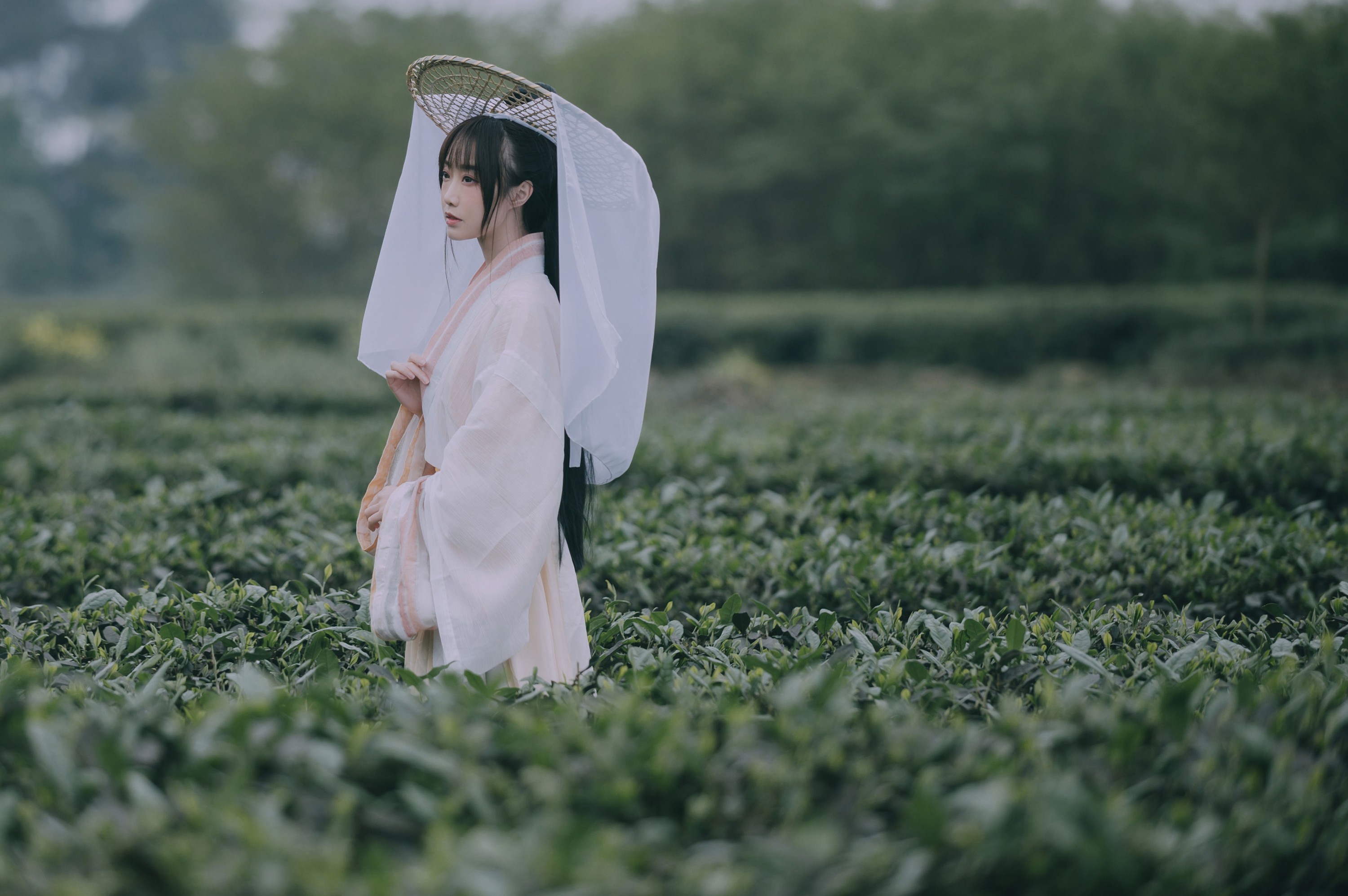 图片[4] - 蹭饭 - 《采茶东篱下》[20P] - 机器猫次元 - 机器猫次元