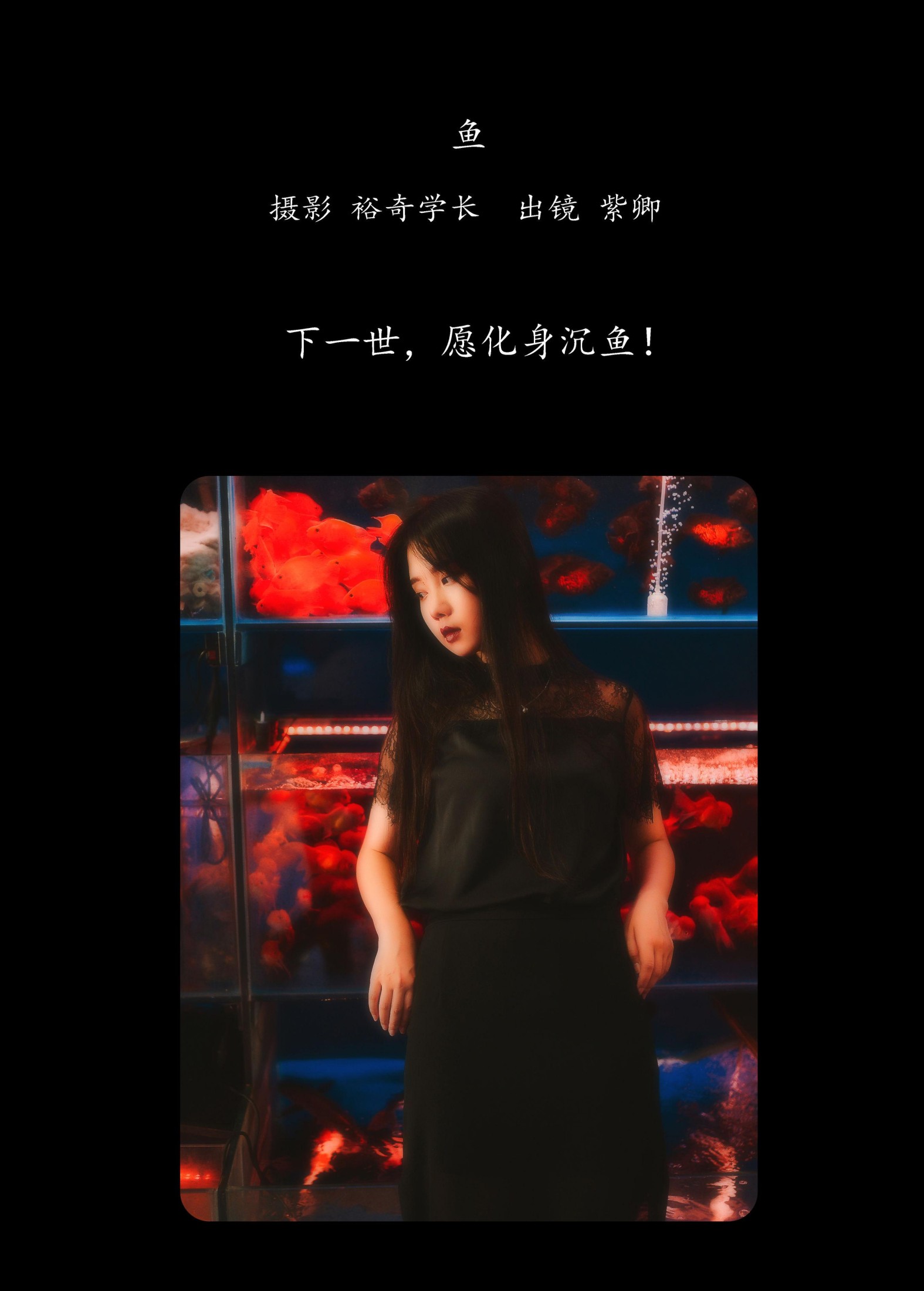 图片[2] - 紫卿 - 《鱼》[21P] - 机器猫次元 - 机器猫次元
