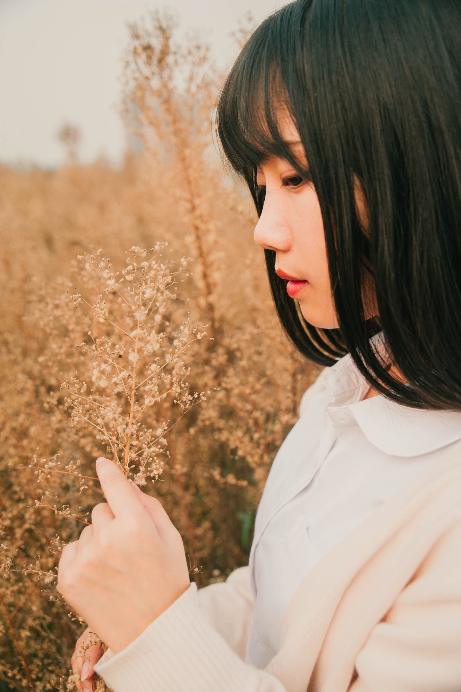 图片[8] - 紫卿 - 《秋实》[21P] - 机器猫次元 - 机器猫次元