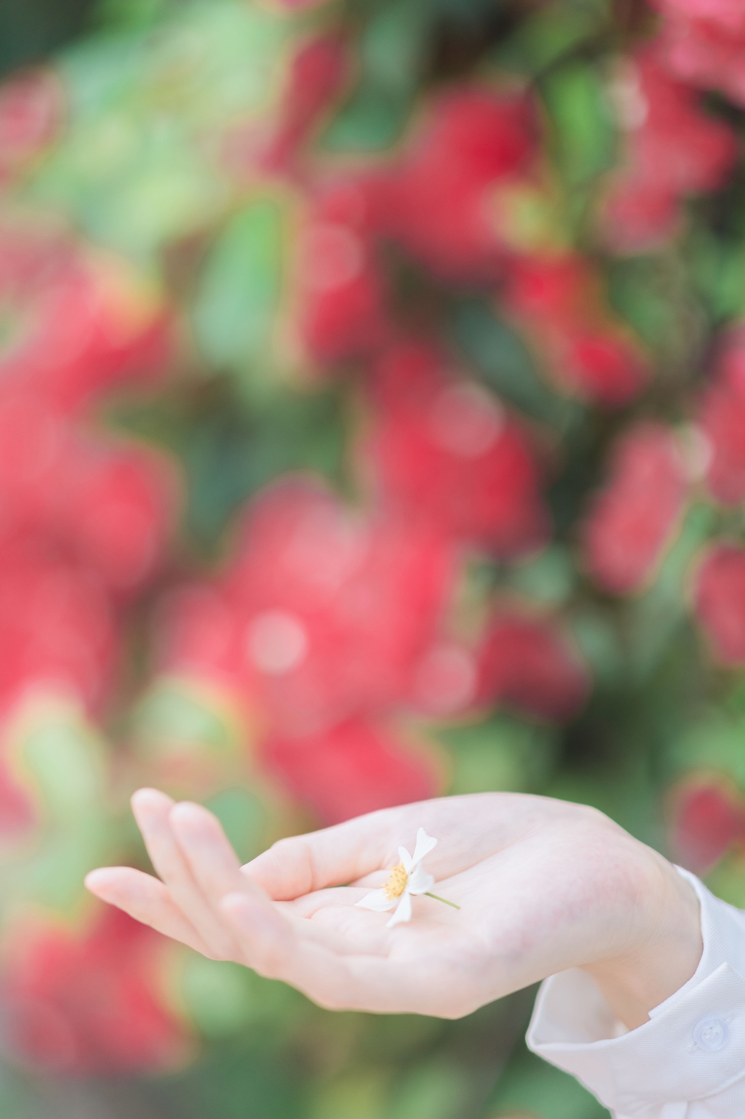 图片[4] - 航子就是航子呀 - 《夏天的风》[27P] - 机器猫次元 - 机器猫次元