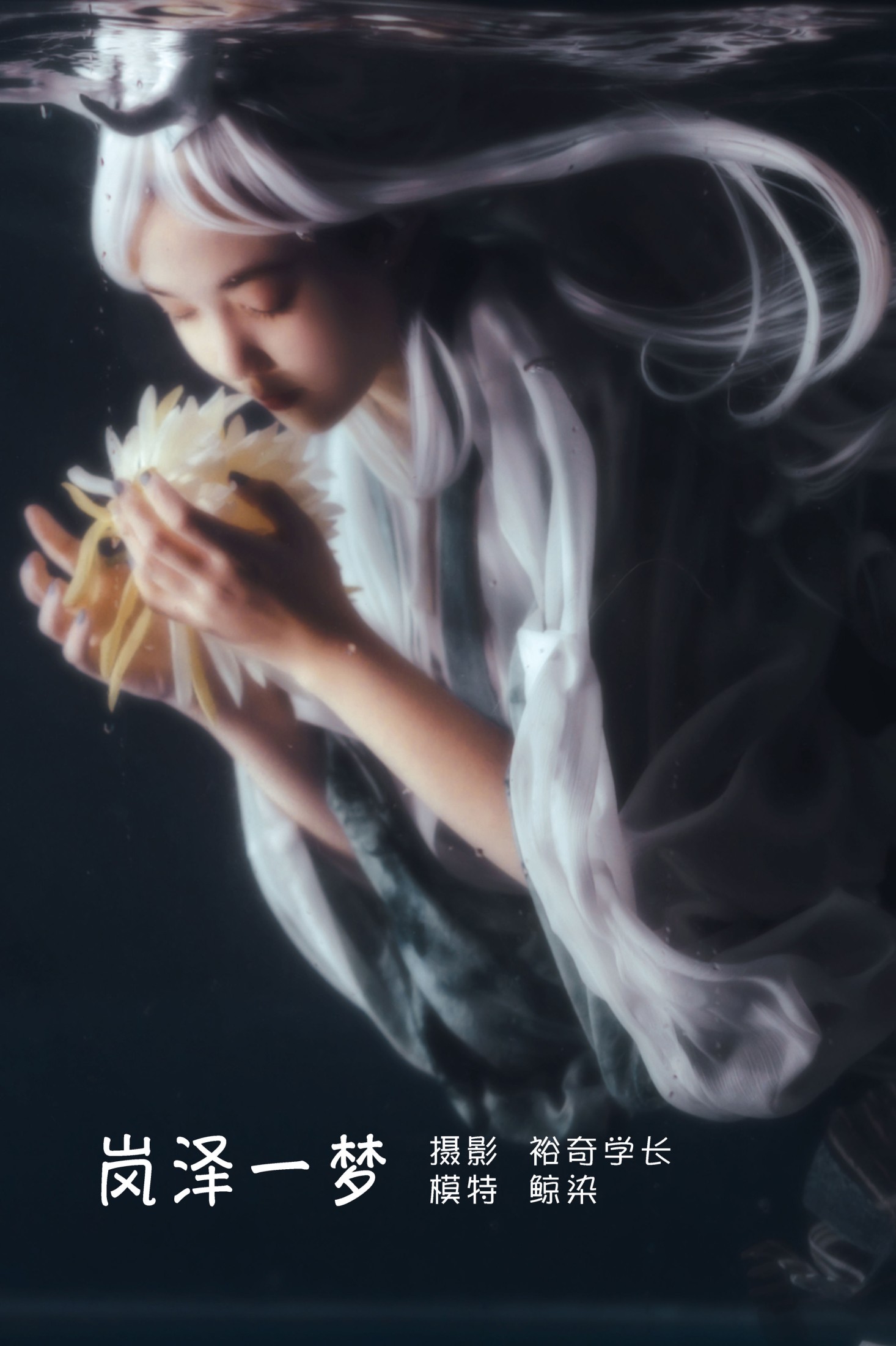 图片[1] - 鲸染 - 《岚泽一梦》[20P] - 机器猫次元 - 机器猫次元
