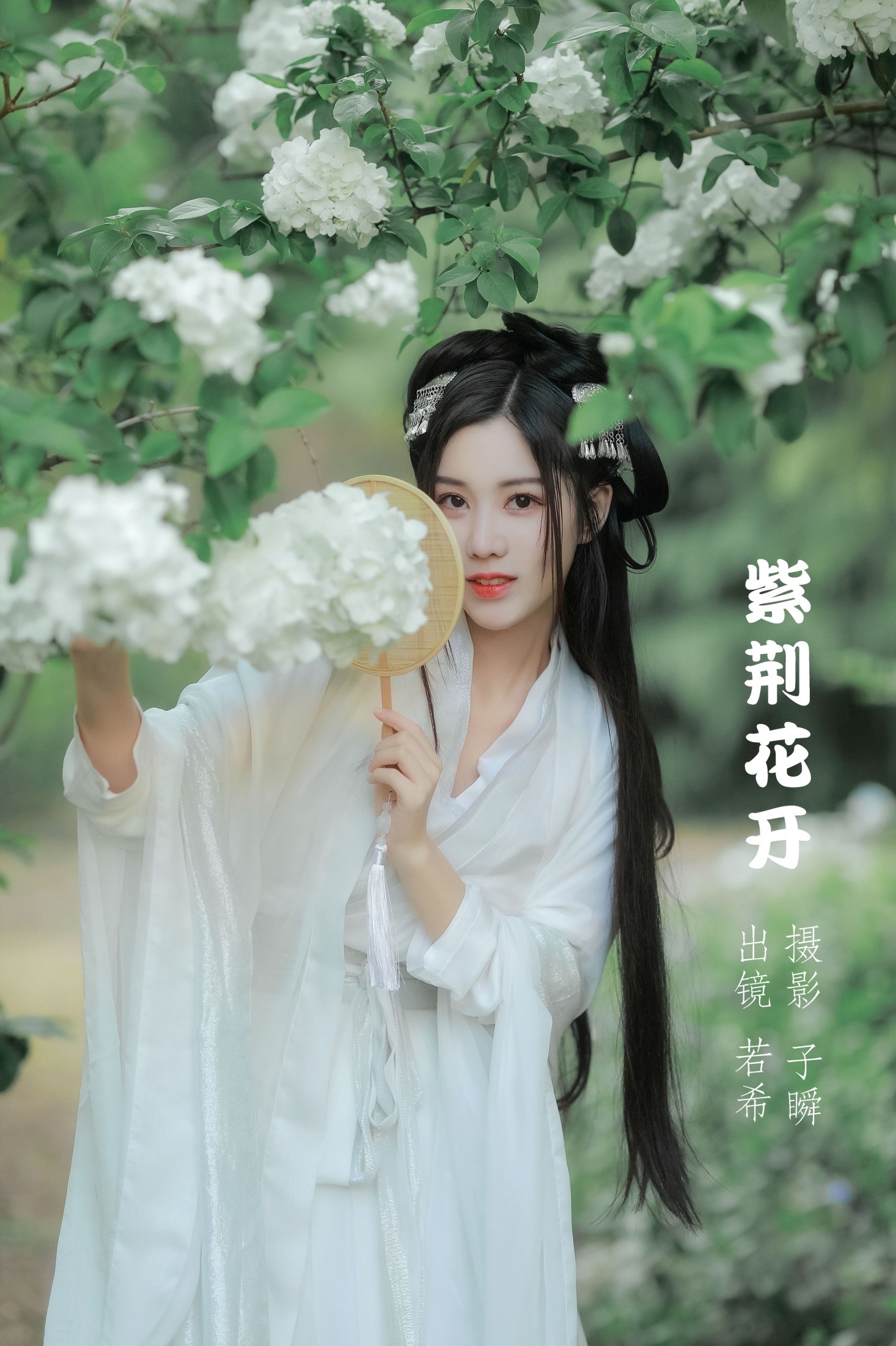 图片[1] - 若希icy - 《紫荆花开》[23P] - 机器猫次元 - 机器猫次元
