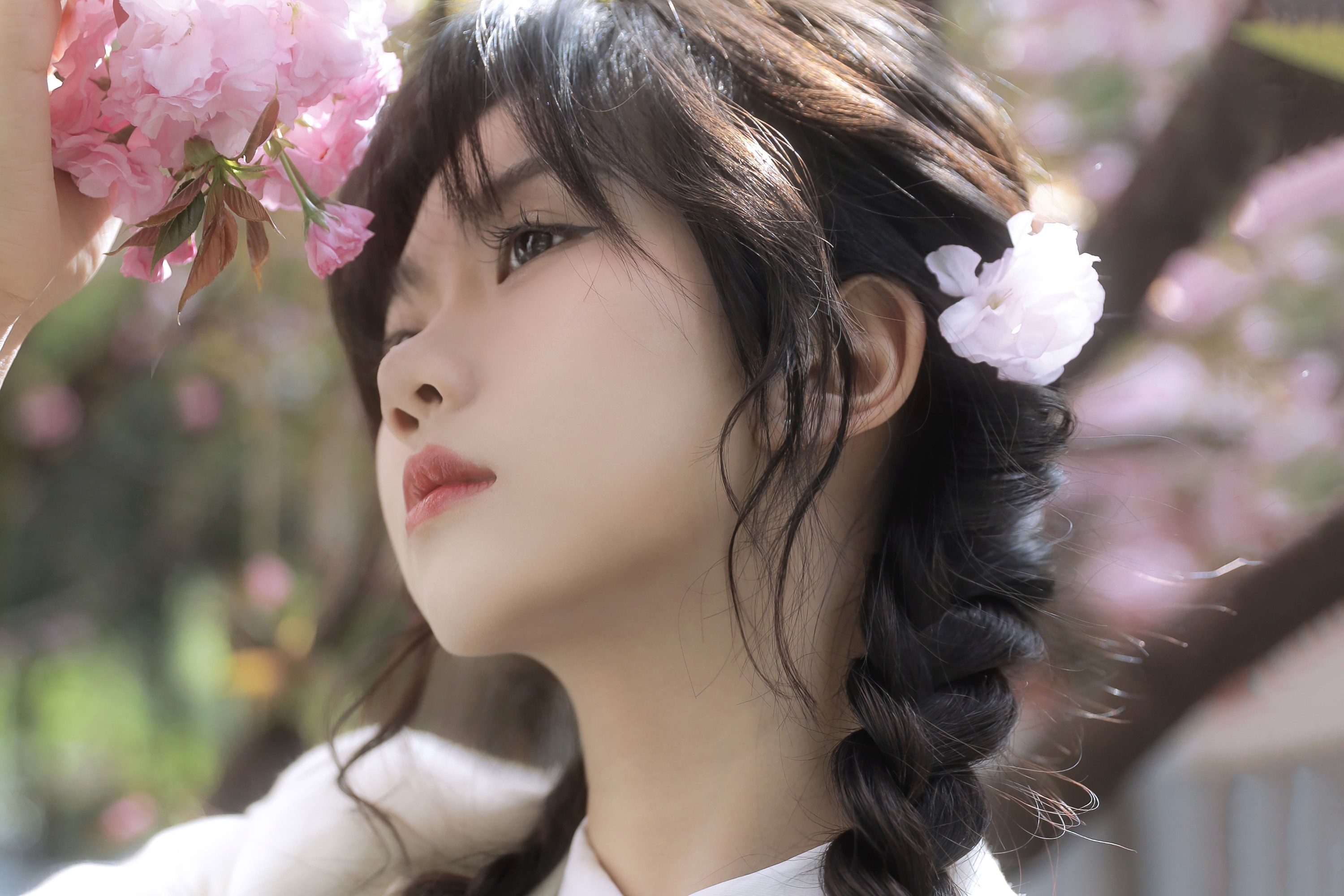 图片[5] - 聂十三 - 《繁樱一树》[21P] - 机器猫次元 - 机器猫次元