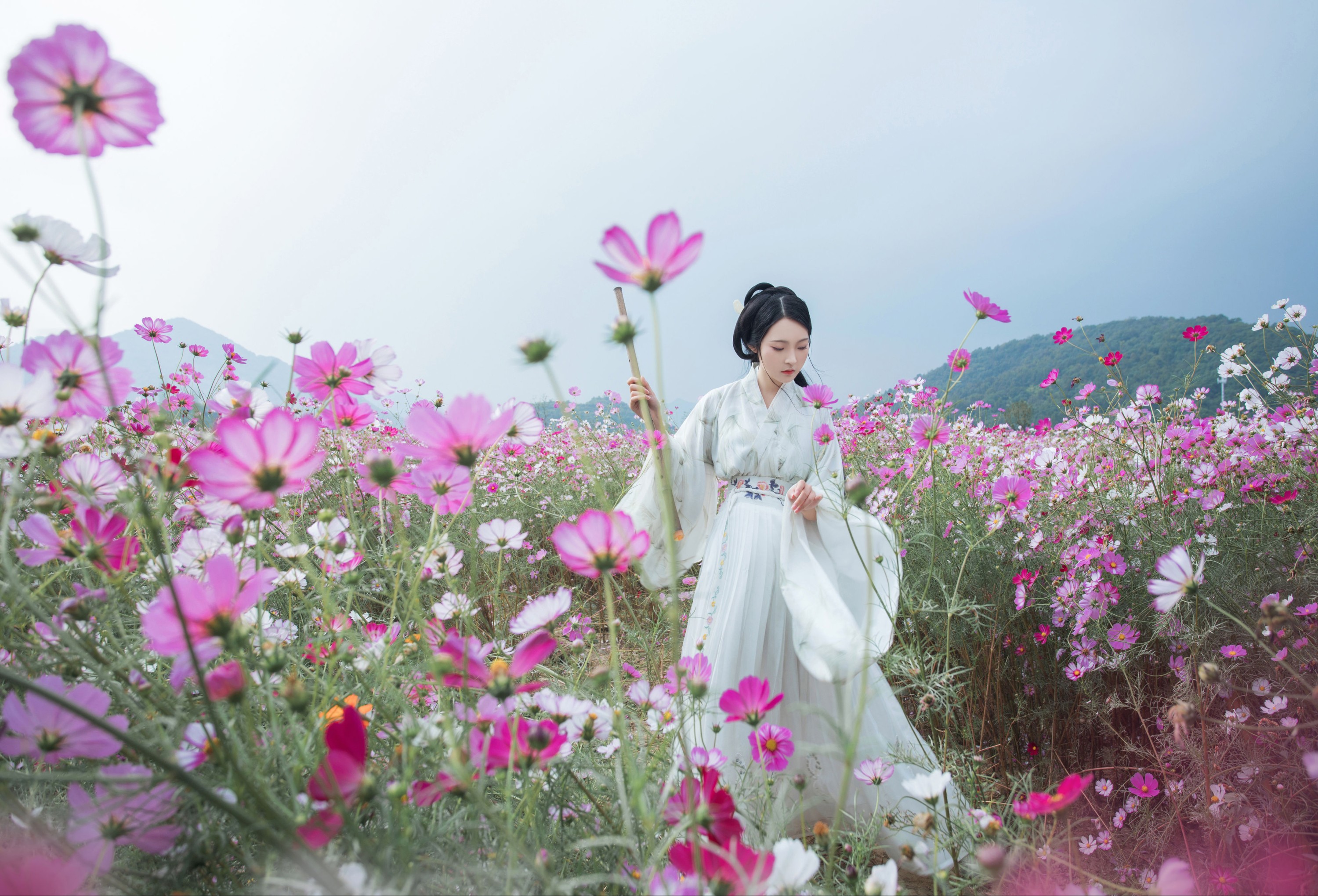 图片[3] - 超困的鹿 - 《娑萝》[22P] - 机器猫次元 - 机器猫次元