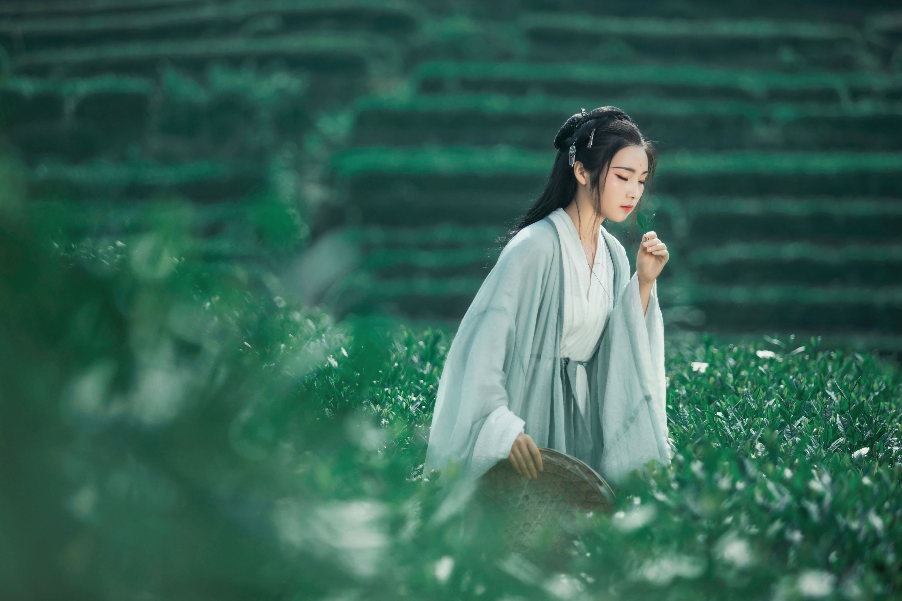 图片[5] - 超困的鹿 - 《茶山》[32P] - 机器猫次元 - 机器猫次元