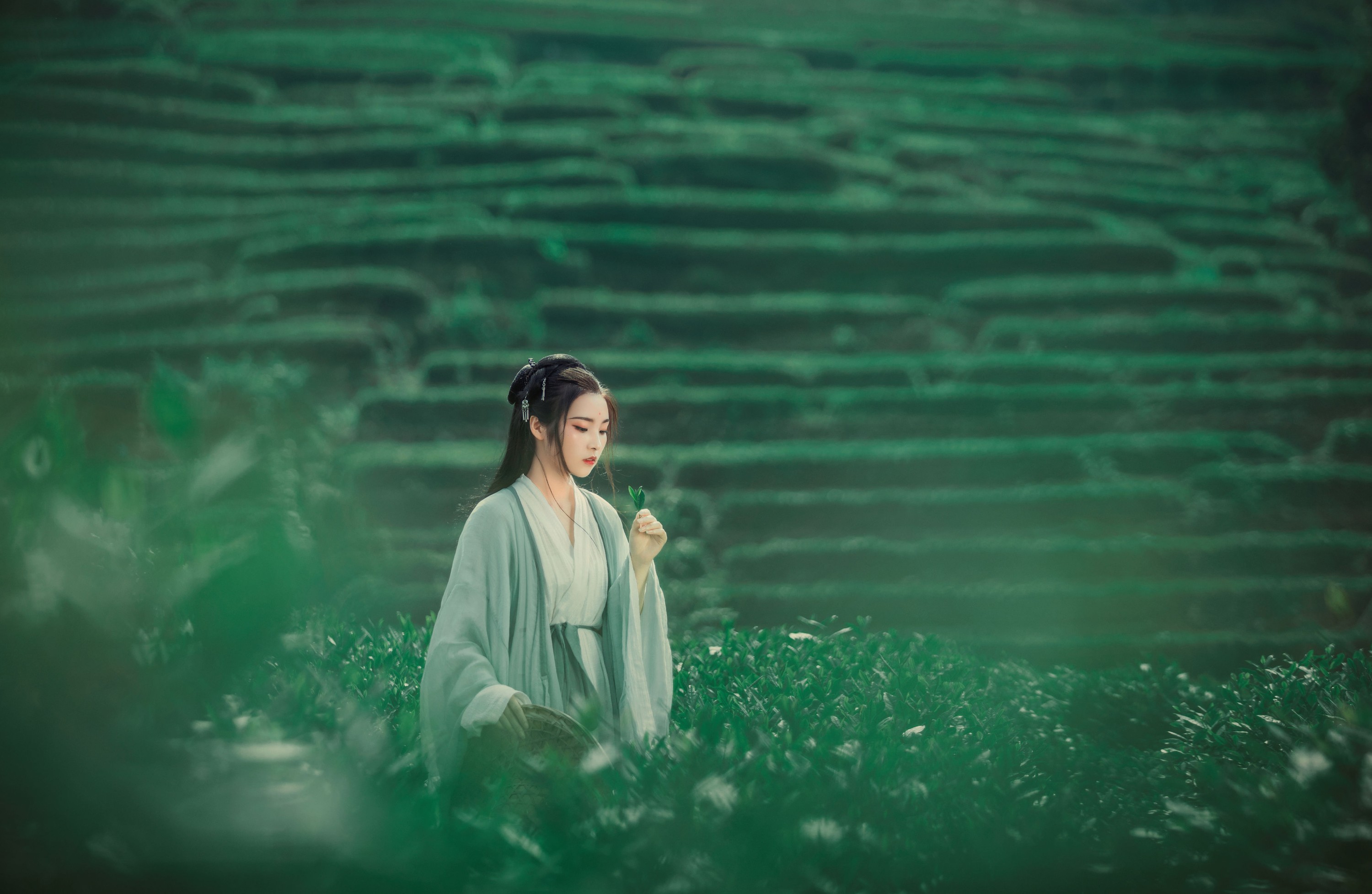 图片[4] - 超困的鹿 - 《茶山》[32P] - 机器猫次元 - 机器猫次元