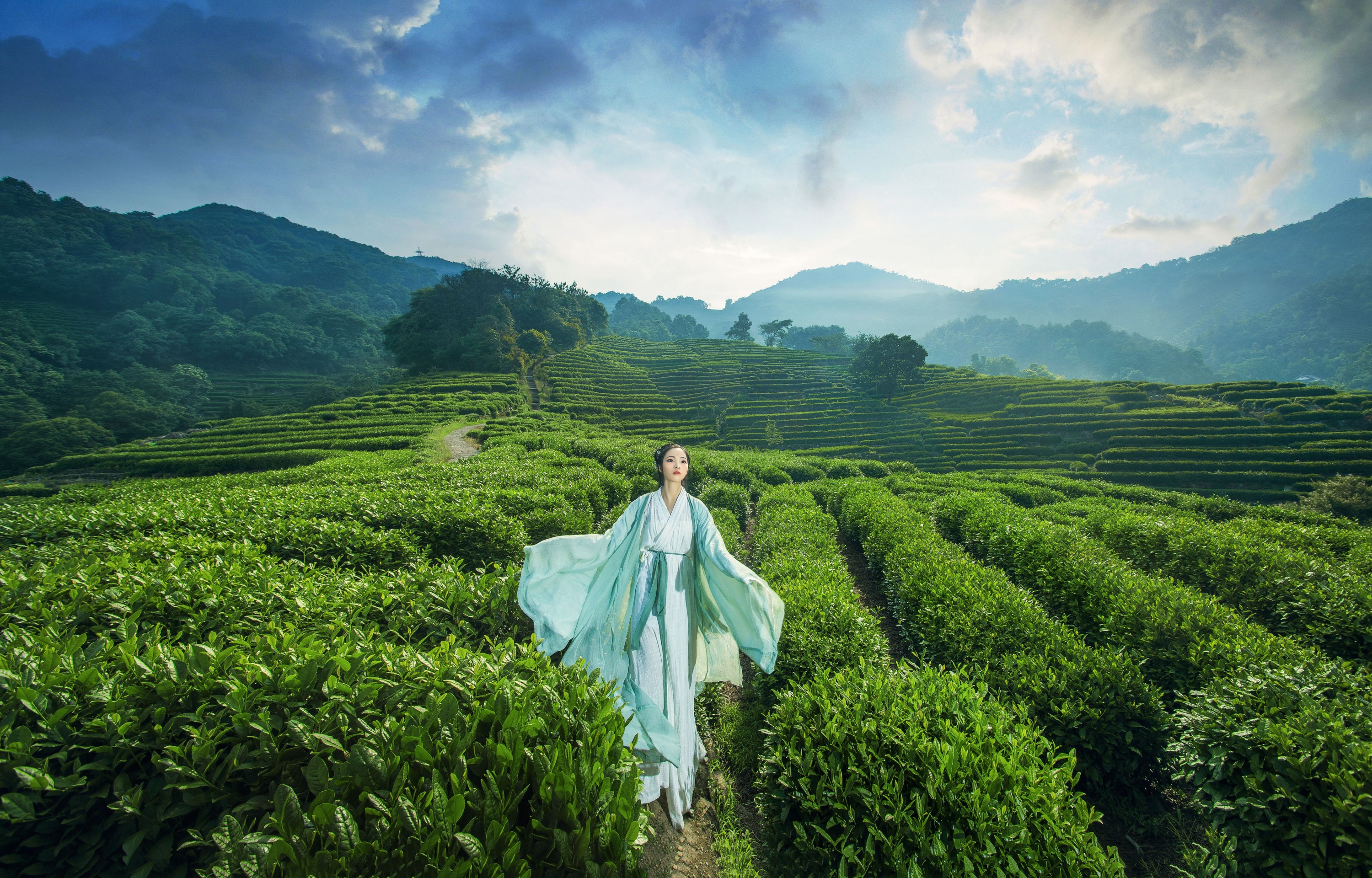 图片[8] - 超困的鹿 - 《茶山》[32P] - 机器猫次元 - 机器猫次元