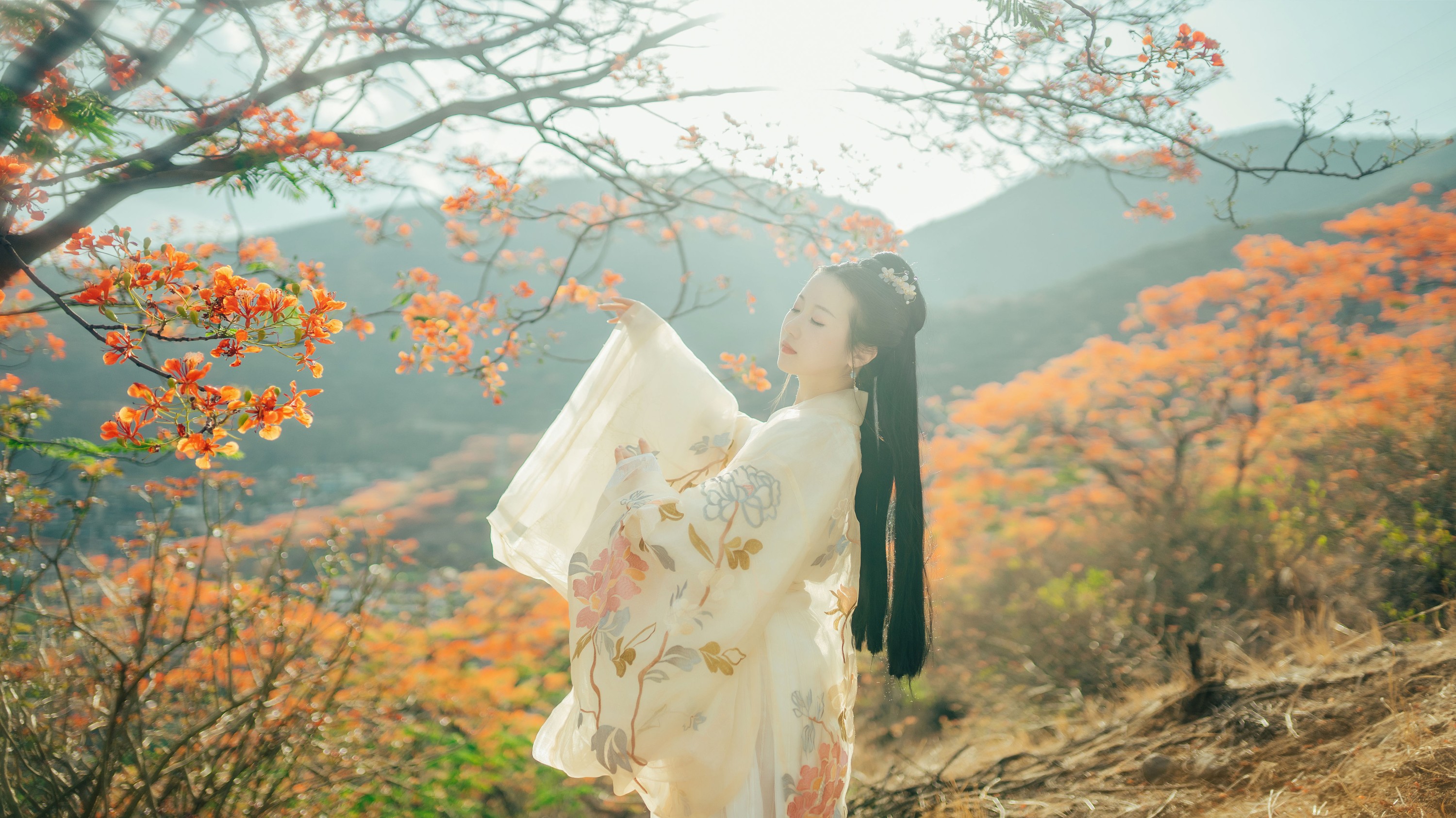 图片[8] - 粥米饭 - 《凤凰花开》[26P] - 机器猫次元 - 机器猫次元