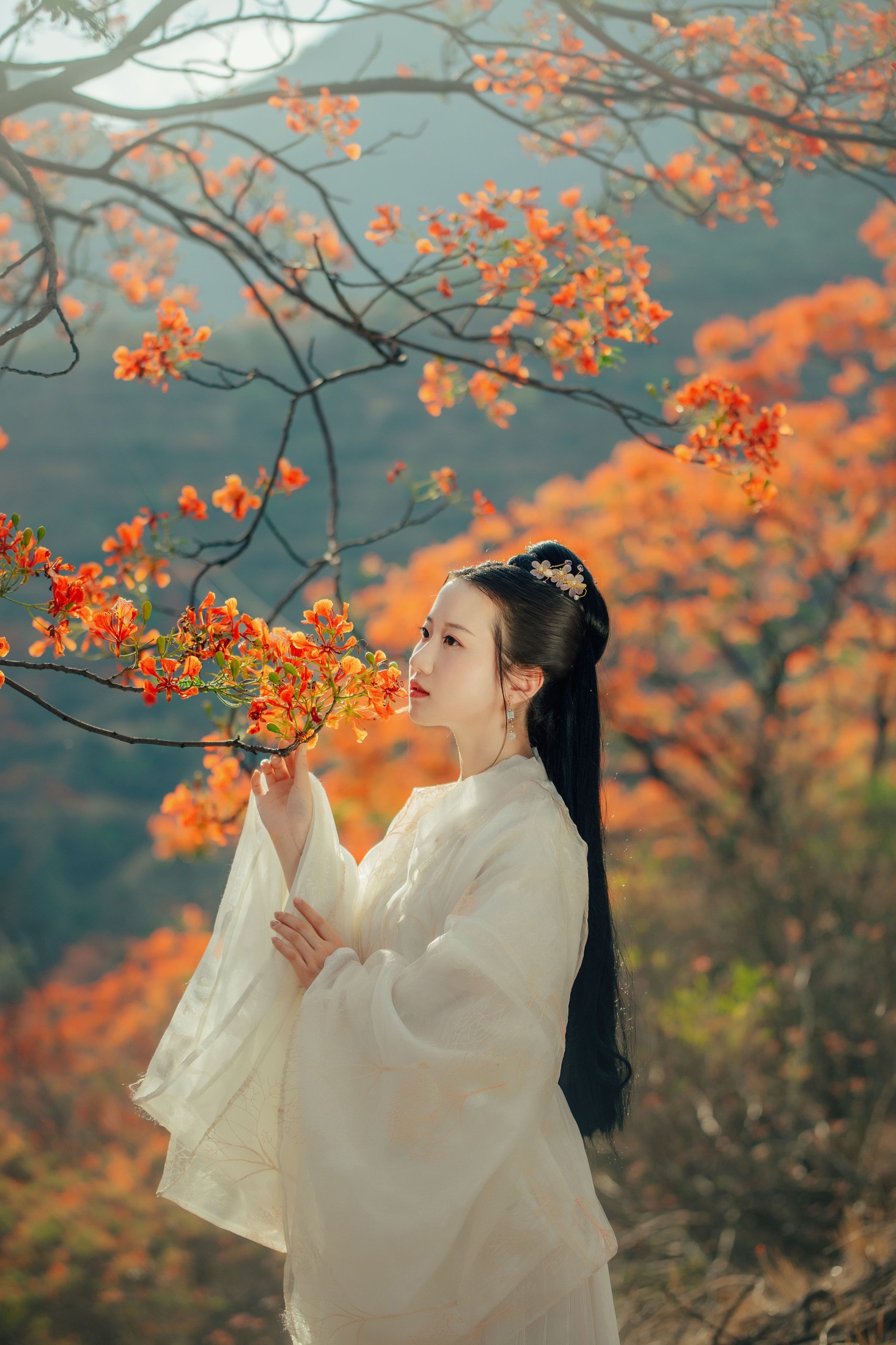 图片[6] - 粥米饭 - 《凤凰花开》[26P] - 机器猫次元 - 机器猫次元