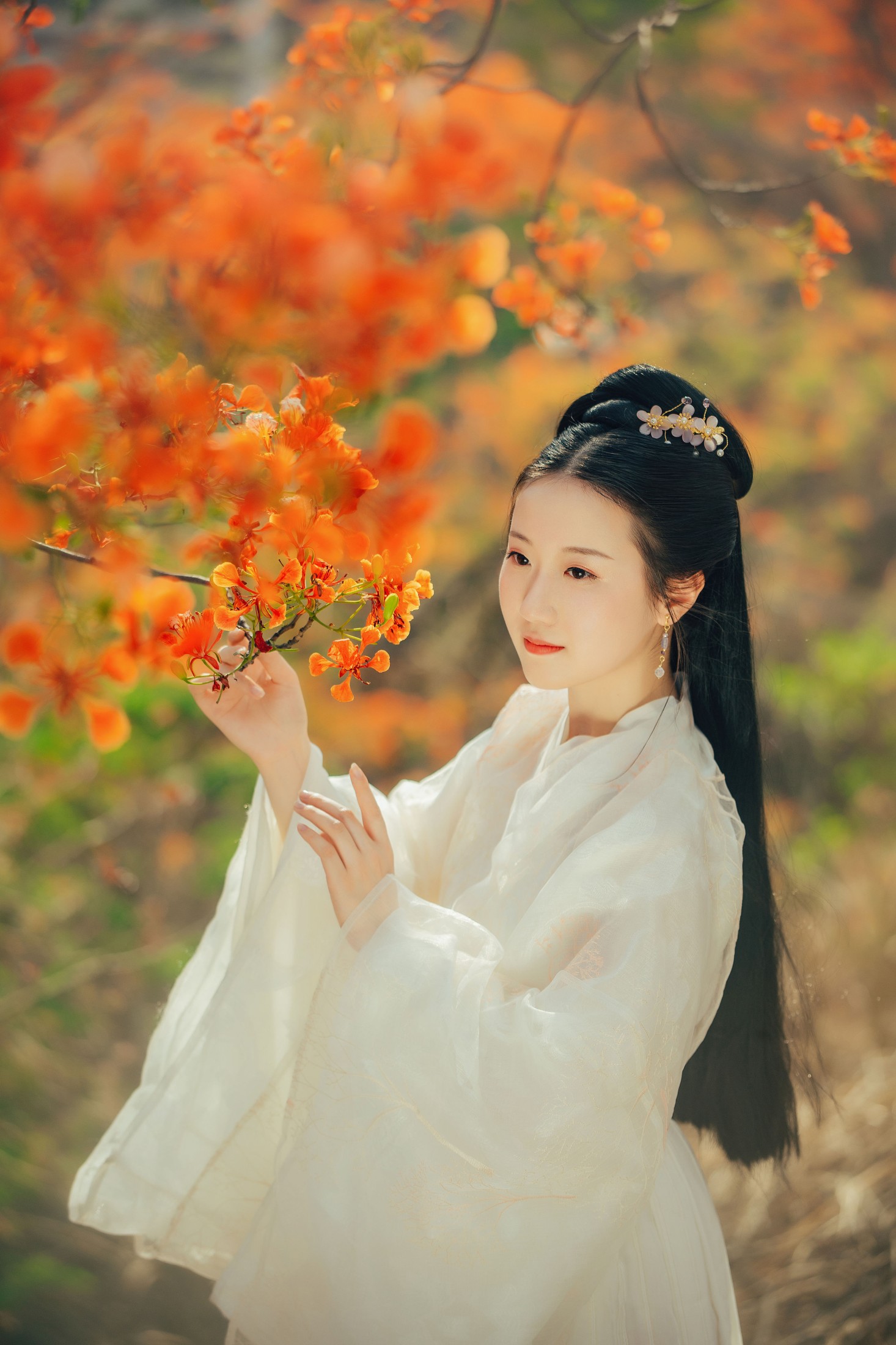 图片[3] - 粥米饭 - 《凤凰花开》[26P] - 机器猫次元 - 机器猫次元