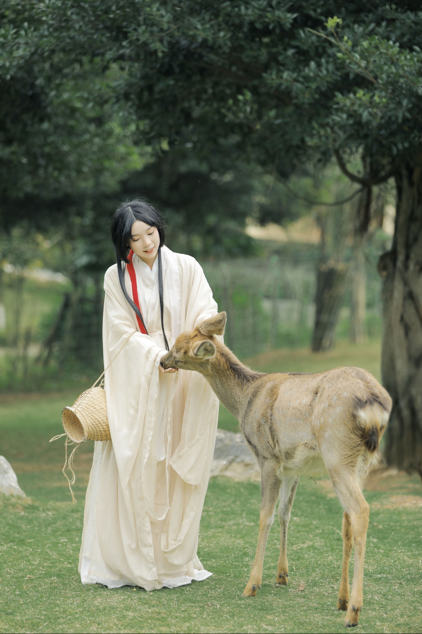 图片[3] - 槐枝- 《鹿鸣》[27P] - 机器猫次元 - 机器猫次元