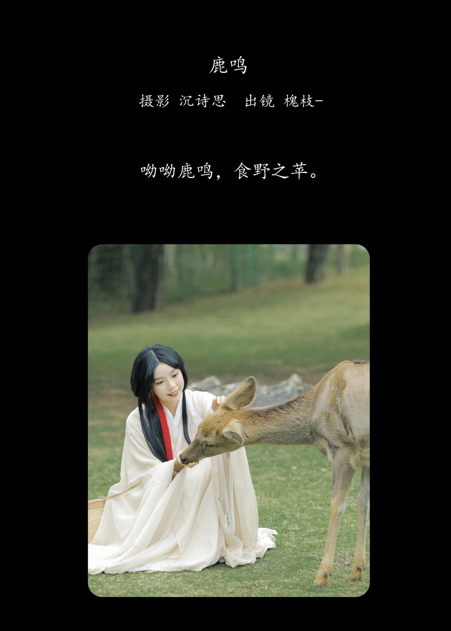 图片[2] - 槐枝- 《鹿鸣》[27P] - 机器猫次元 - 机器猫次元