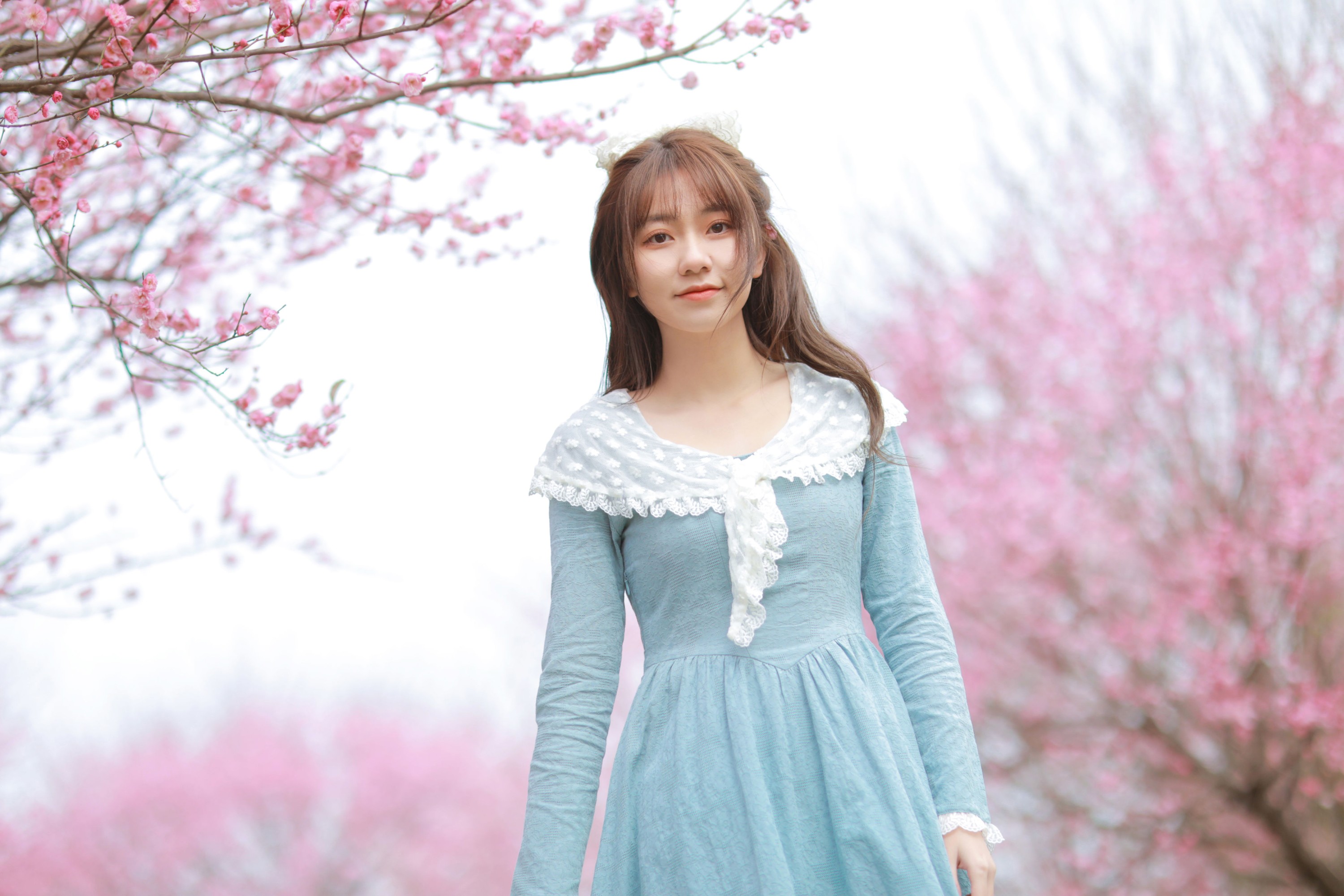 图片[4] - 小临川 - 《陌上花开》[28P] - 机器猫次元 - 机器猫次元