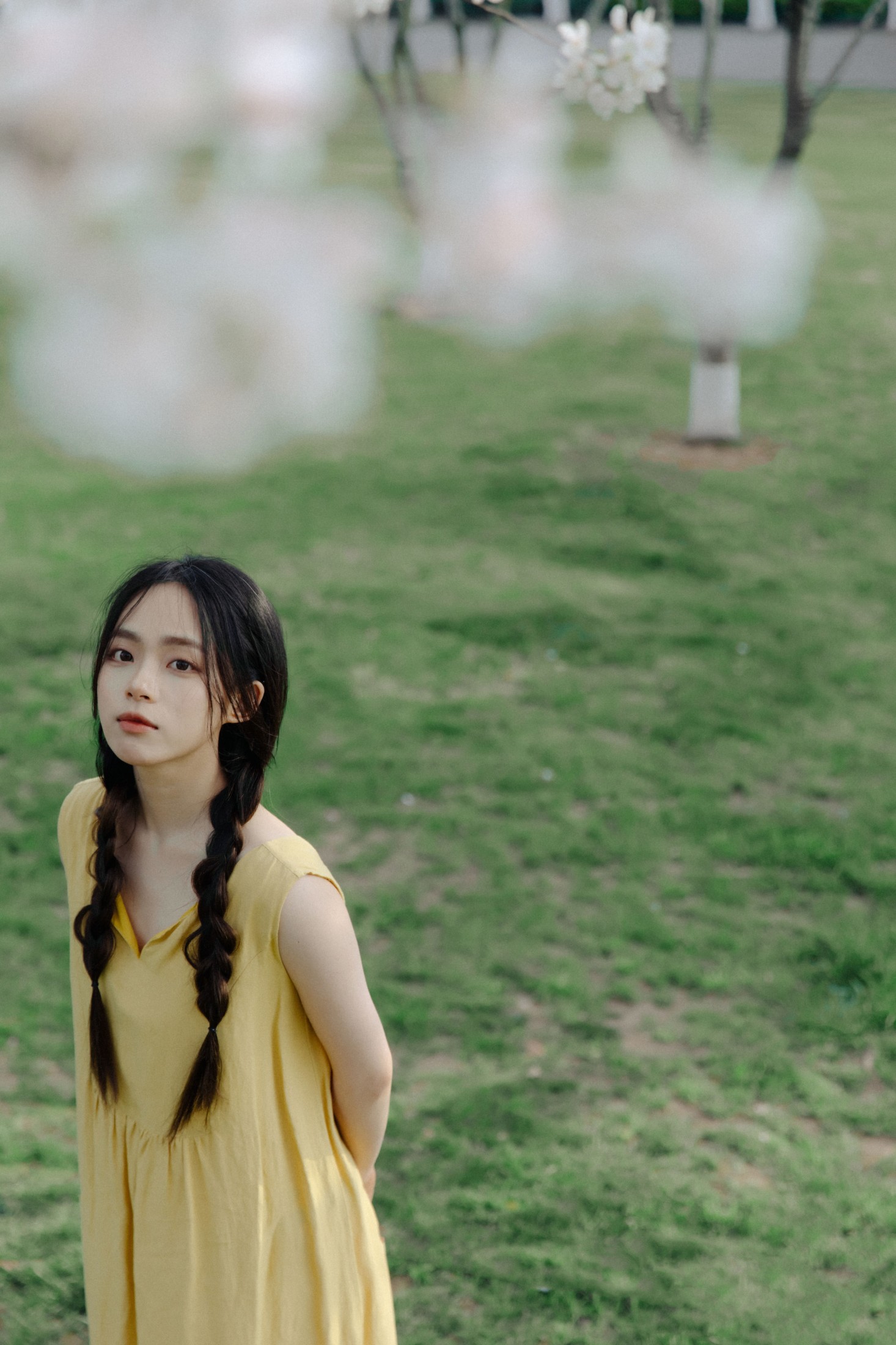 图片[3] - 九麻MAA - 《遇见初樱》[27P] - 机器猫次元 - 机器猫次元