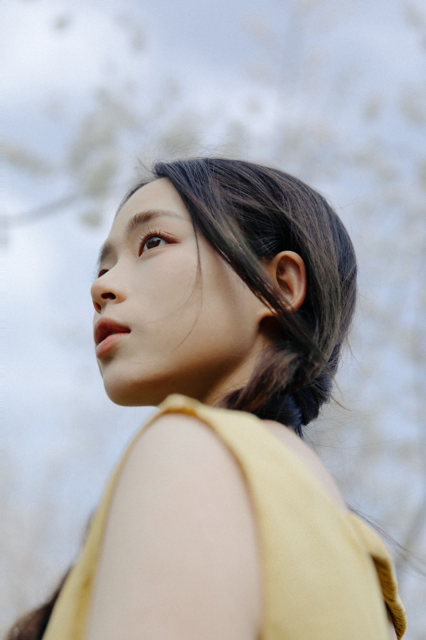 图片[6] - 九麻MAA - 《遇见初樱》[27P] - 机器猫次元 - 机器猫次元