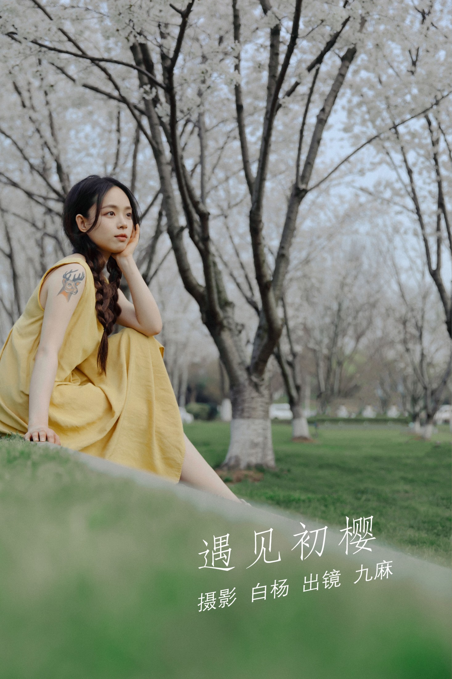 图片[1] - 九麻MAA - 《遇见初樱》[27P] - 机器猫次元 - 机器猫次元