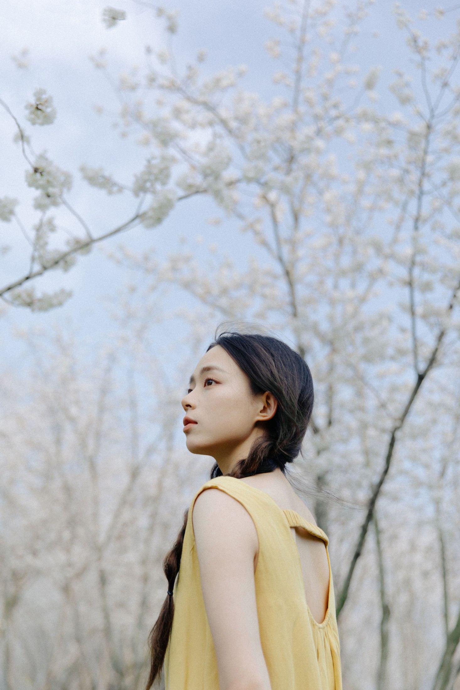 图片[5] - 九麻MAA - 《遇见初樱》[27P] - 机器猫次元 - 机器猫次元