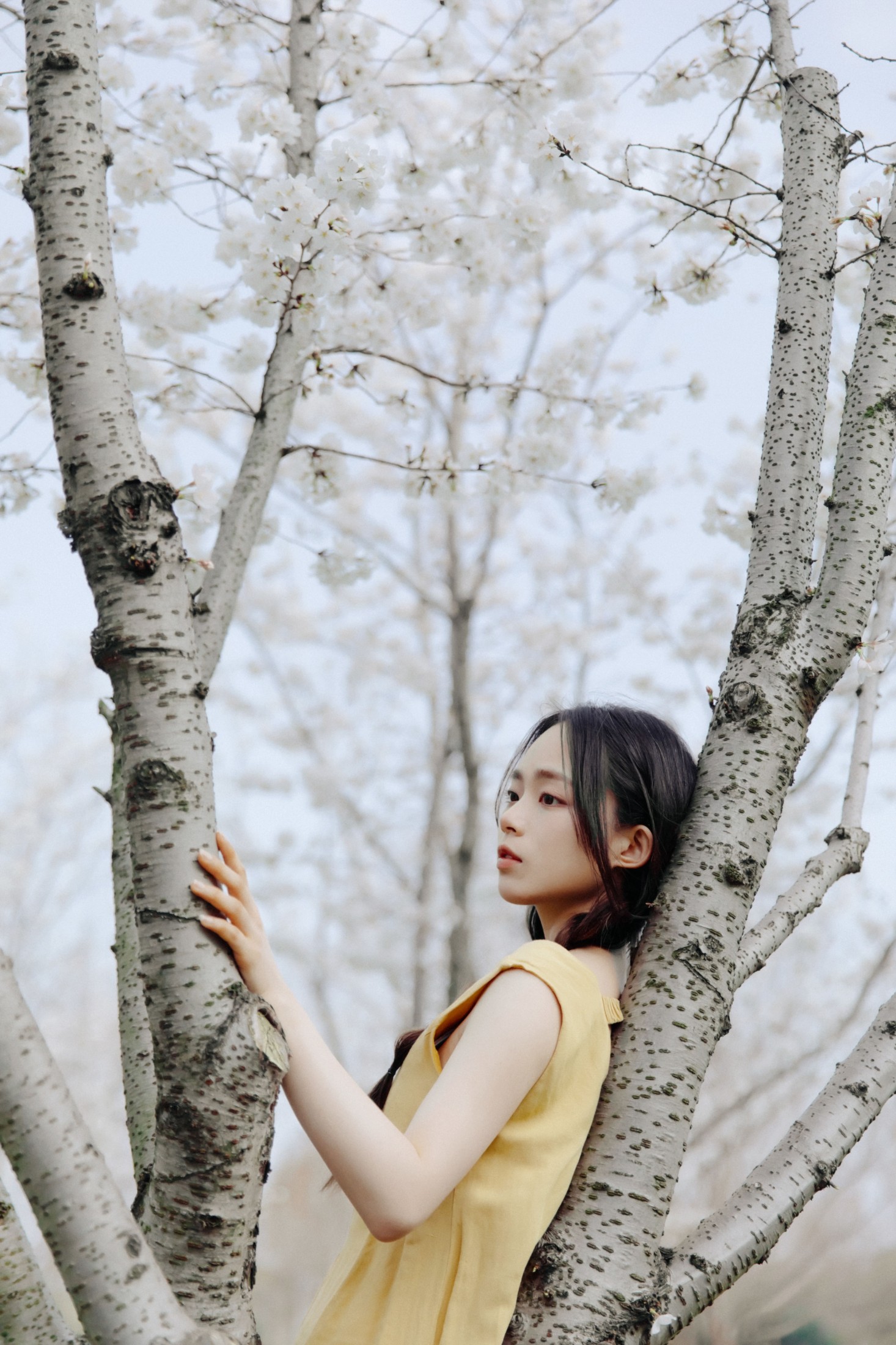 图片[8] - 九麻MAA - 《遇见初樱》[27P] - 机器猫次元 - 机器猫次元
