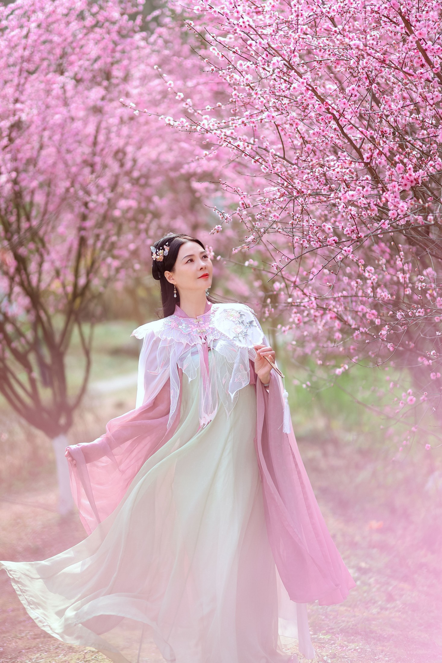 图片[3] - 阿莲 - 《暖春樱色》[38P] - 机器猫次元 - 机器猫次元