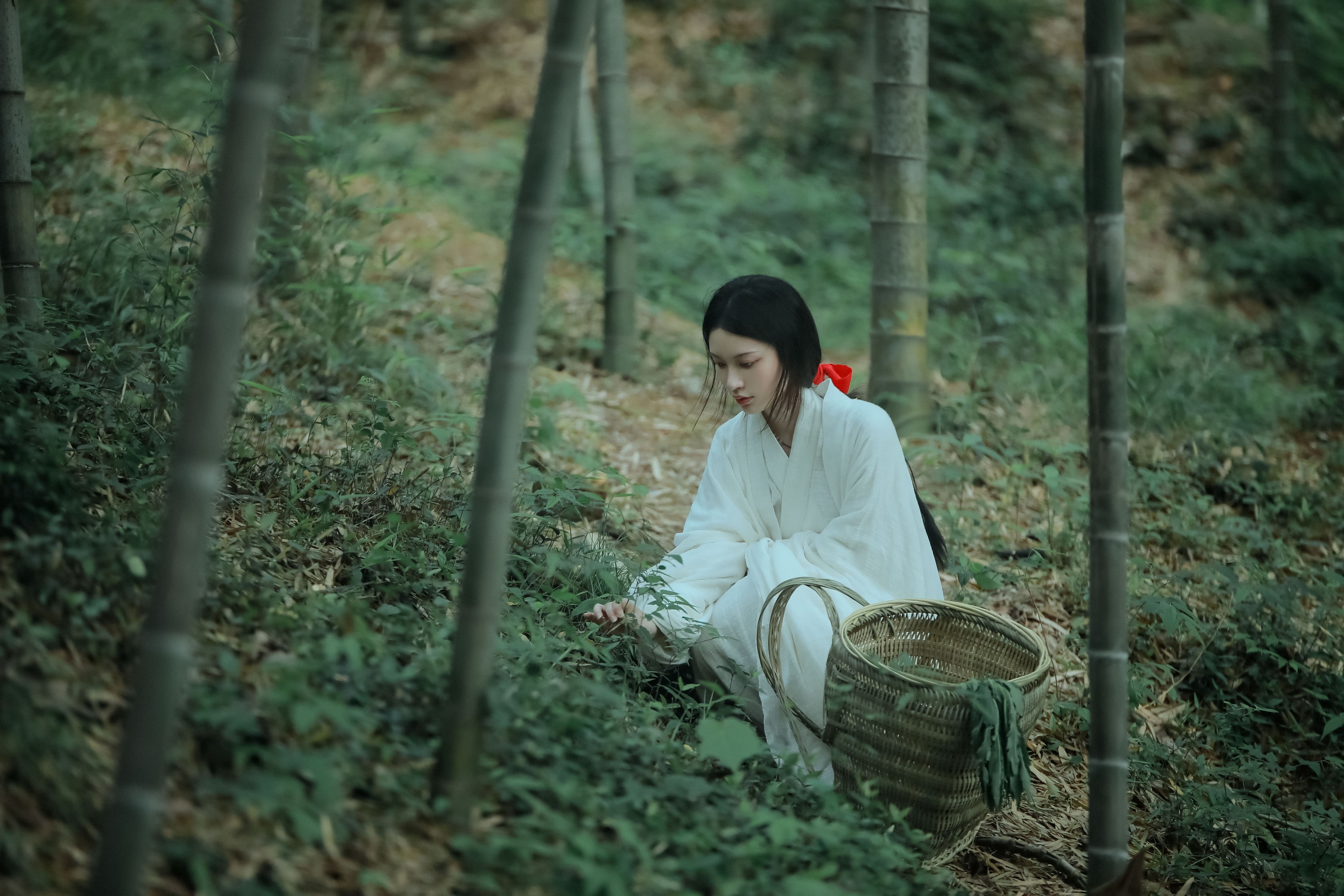 图片[8] - 阿妍纸 - 《神农氏》[26P] - 机器猫次元 - 机器猫次元