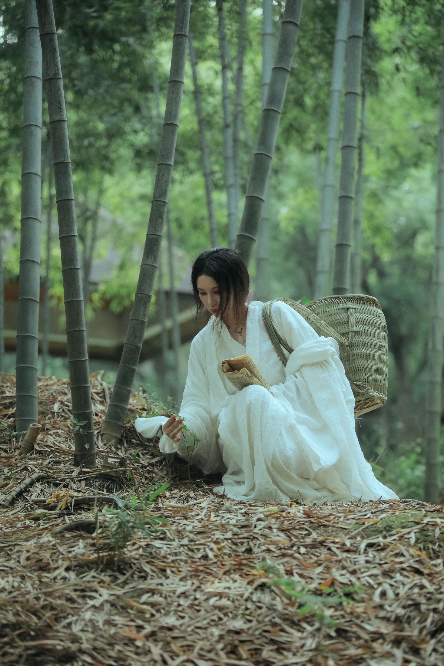 图片[3] - 阿妍纸 - 《神农氏》[26P] - 机器猫次元 - 机器猫次元