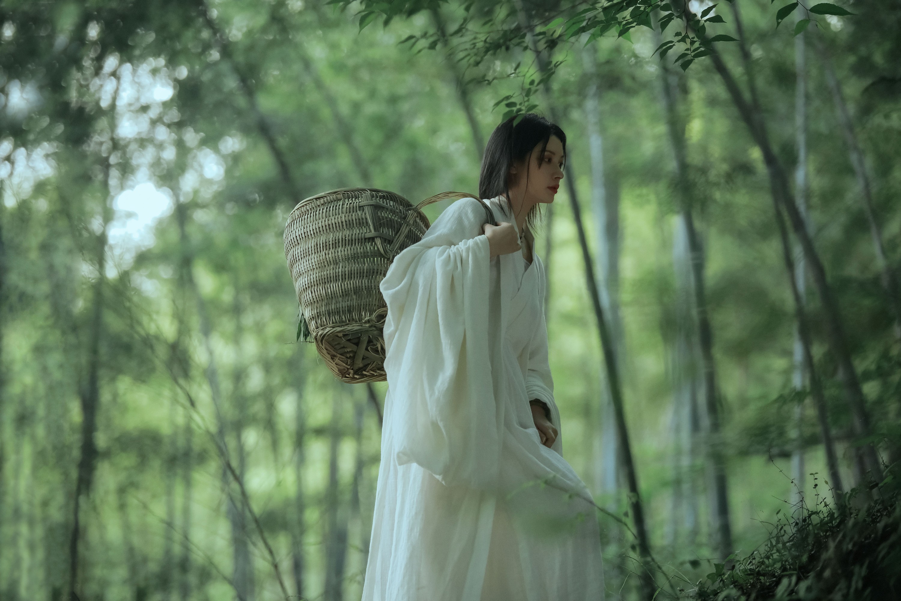 图片[6] - 阿妍纸 - 《神农氏》[26P] - 机器猫次元 - 机器猫次元