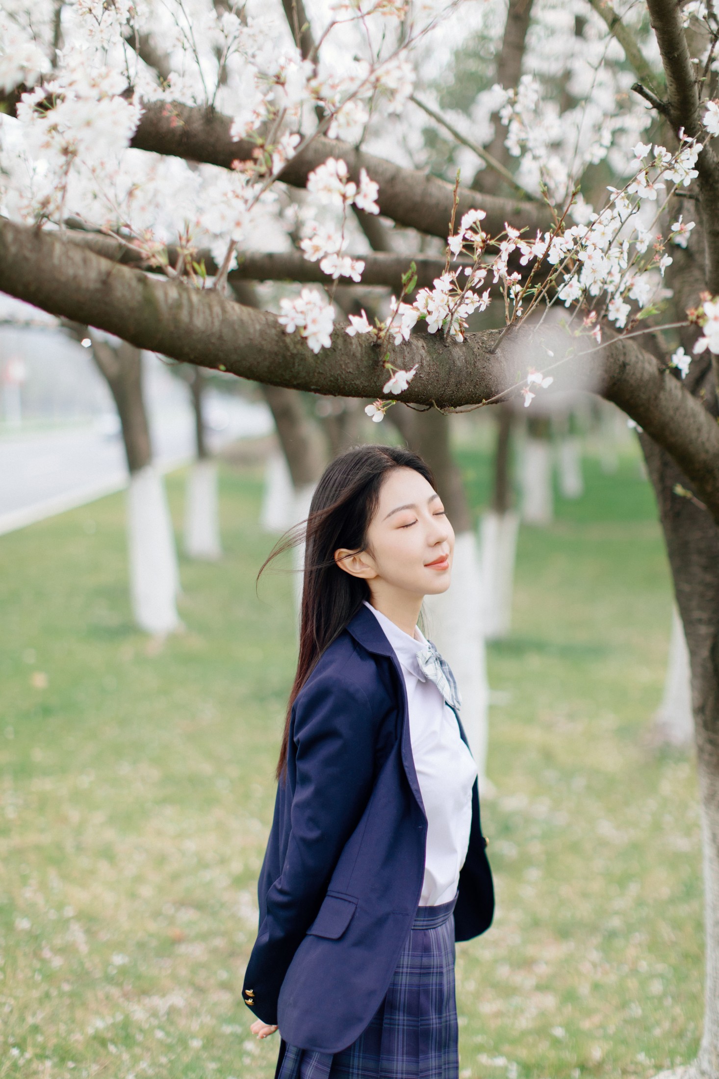 图片[3] - 小汤姆 - 《樱花时分》[27P] - 机器猫次元 - 机器猫次元