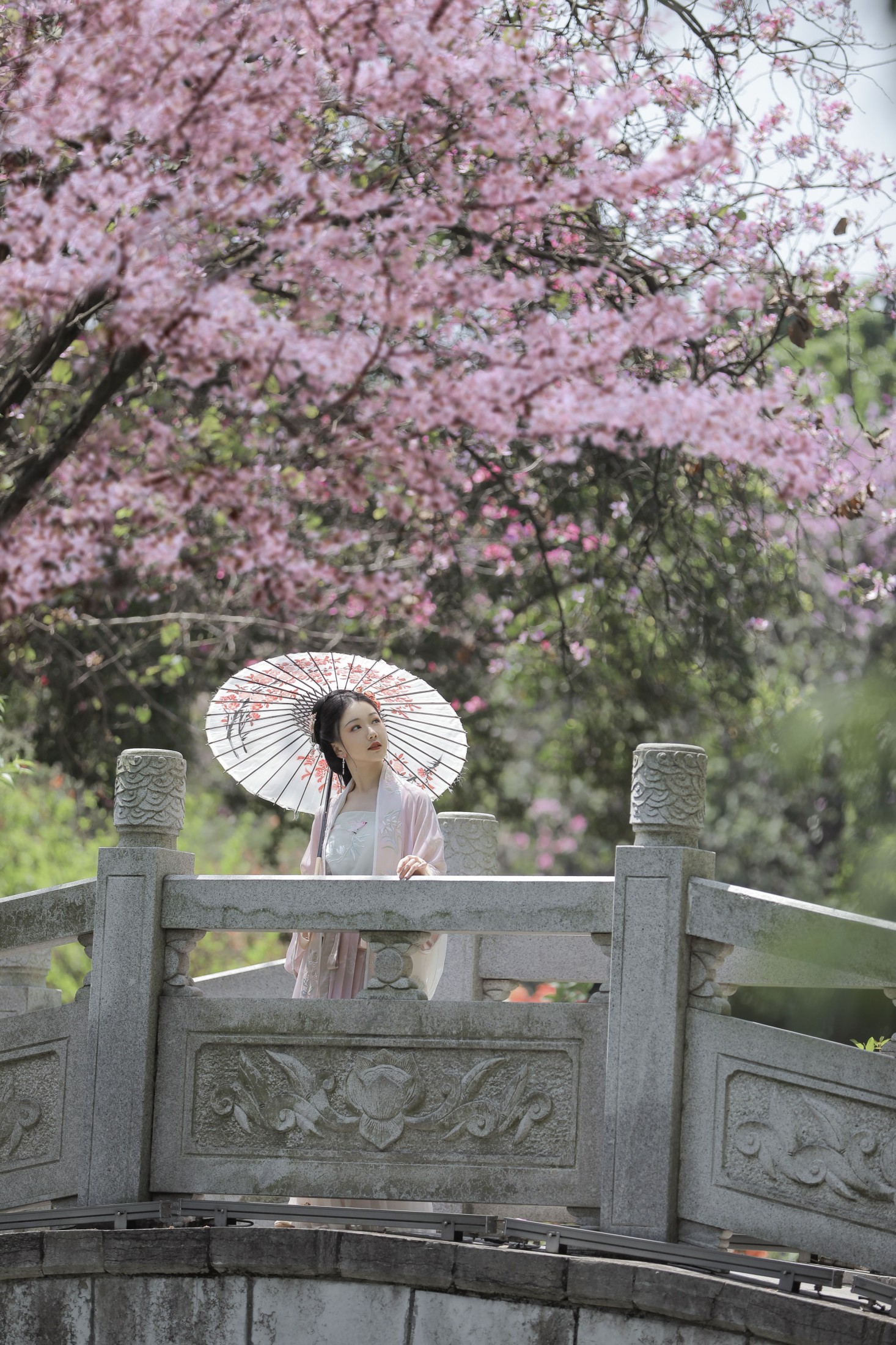 图片[3] - 酸辣湯兒 - 《落花风》[27P] - 机器猫次元 - 机器猫次元