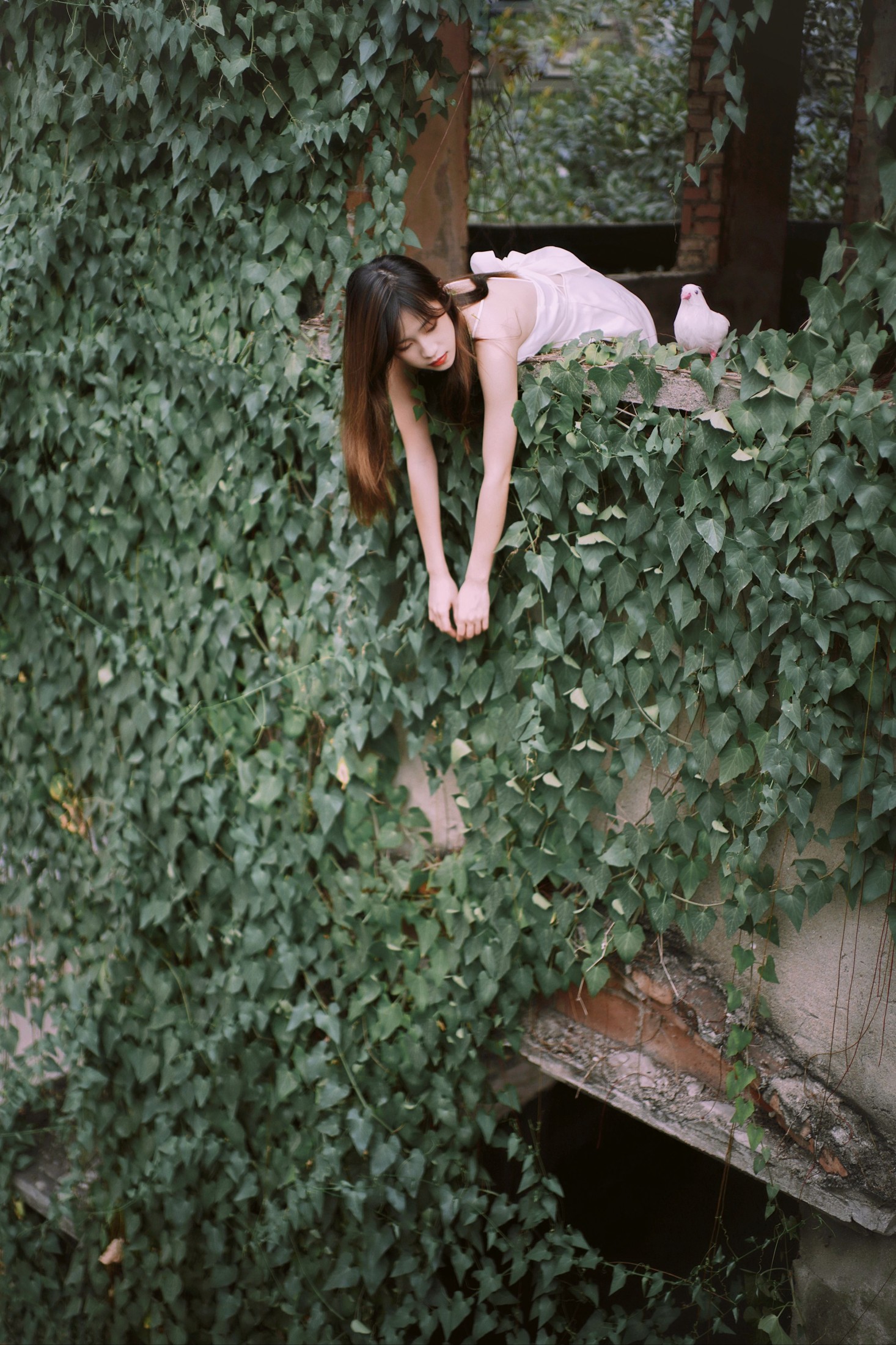 图片[4] - Hanna - 《花寂》[21P] - 机器猫次元 - 机器猫次元