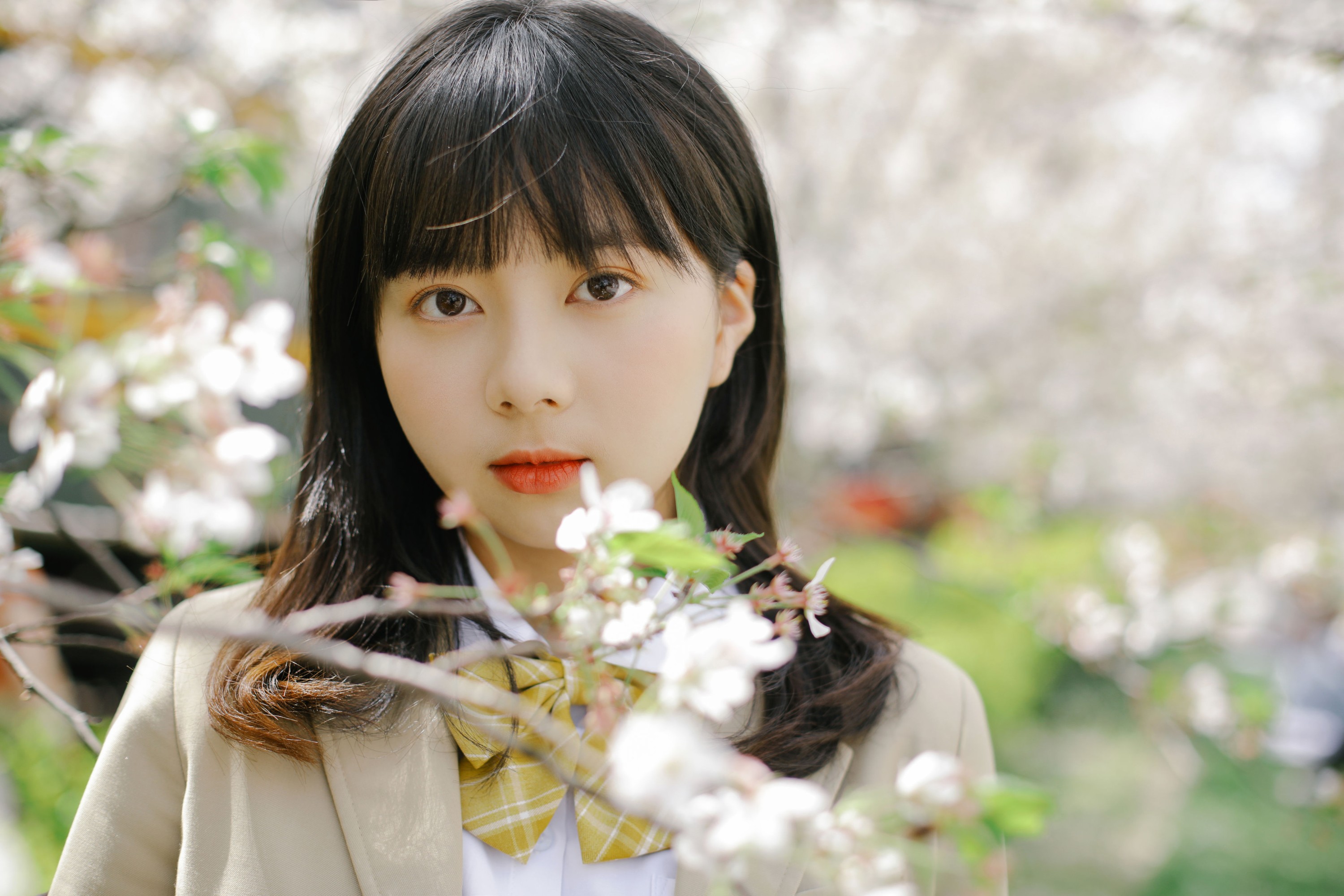 图片[5] - 谢乏乏 - 《樱花烂漫》[39P] - 机器猫次元 - 机器猫次元