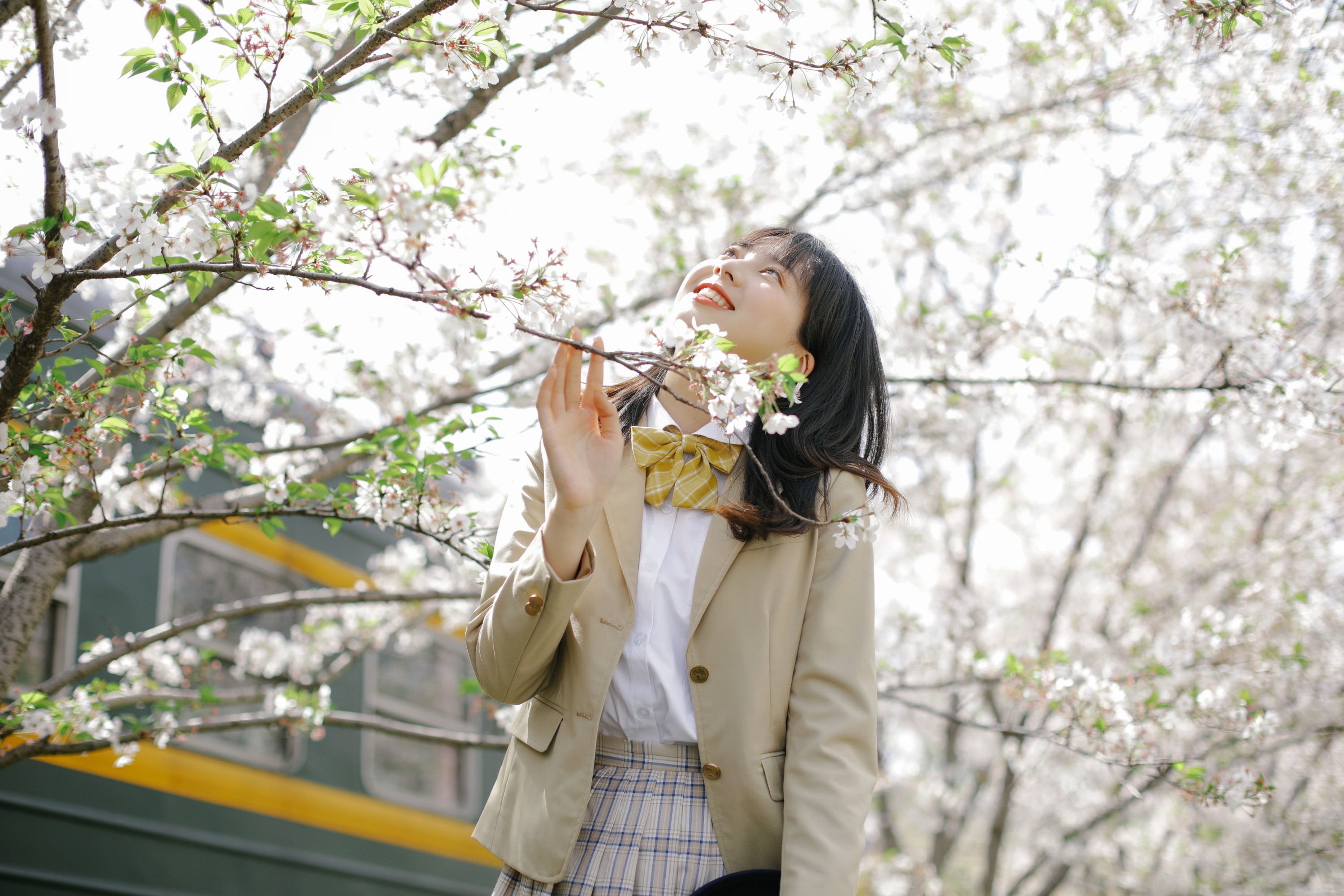 图片[8] - 谢乏乏 - 《樱花烂漫》[39P] - 机器猫次元 - 机器猫次元