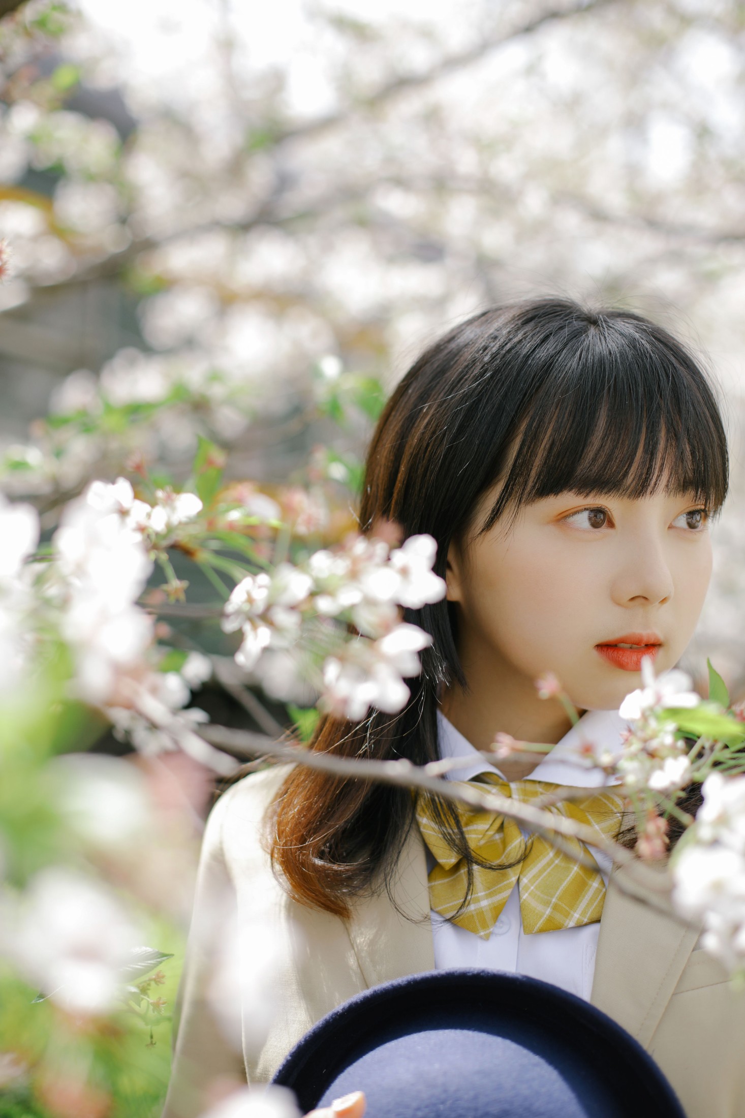 图片[6] - 谢乏乏 - 《樱花烂漫》[39P] - 机器猫次元 - 机器猫次元