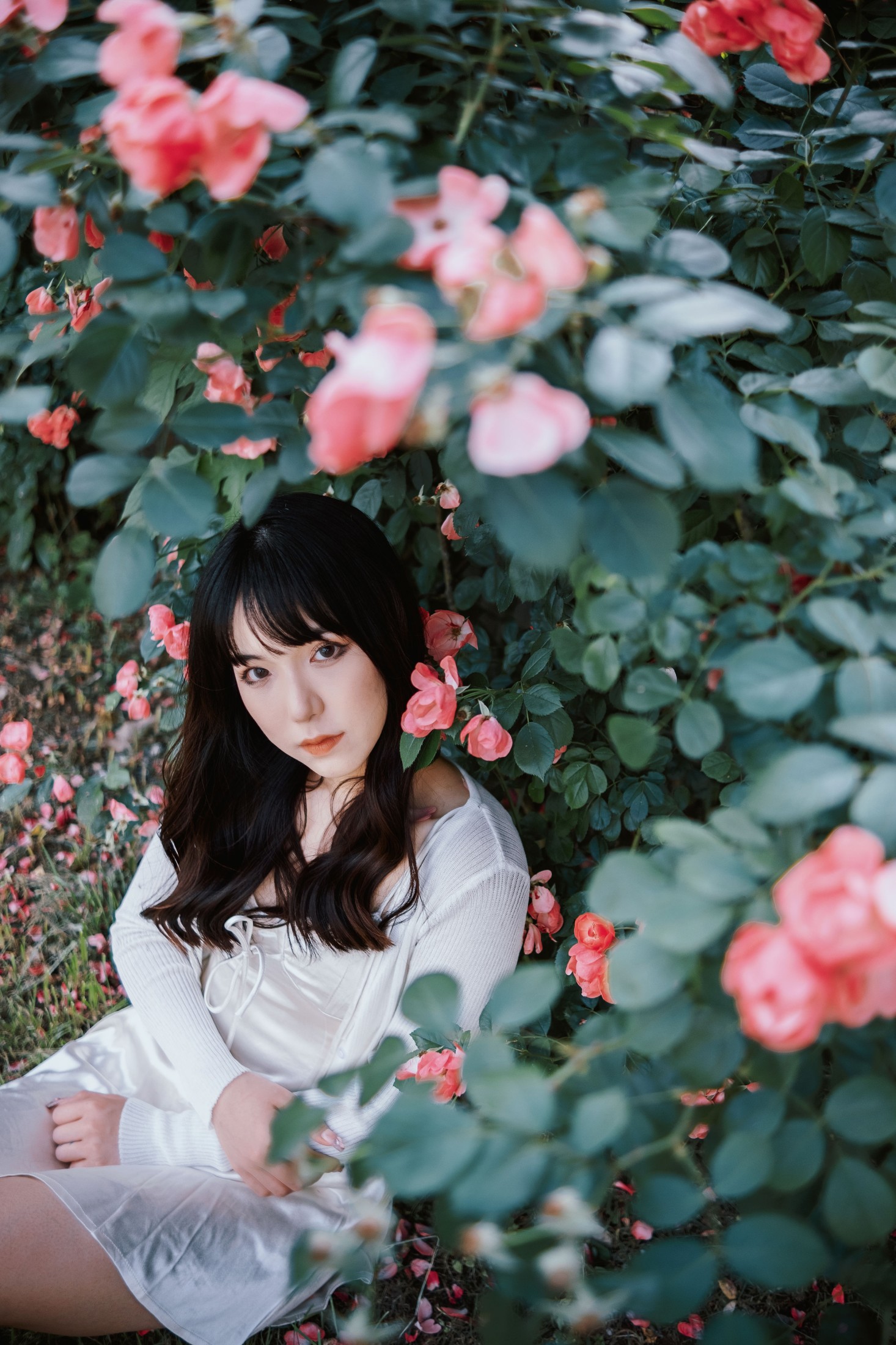 图片[6] - 依依 - 《蔷薇花下》[25P] - 机器猫次元 - 机器猫次元