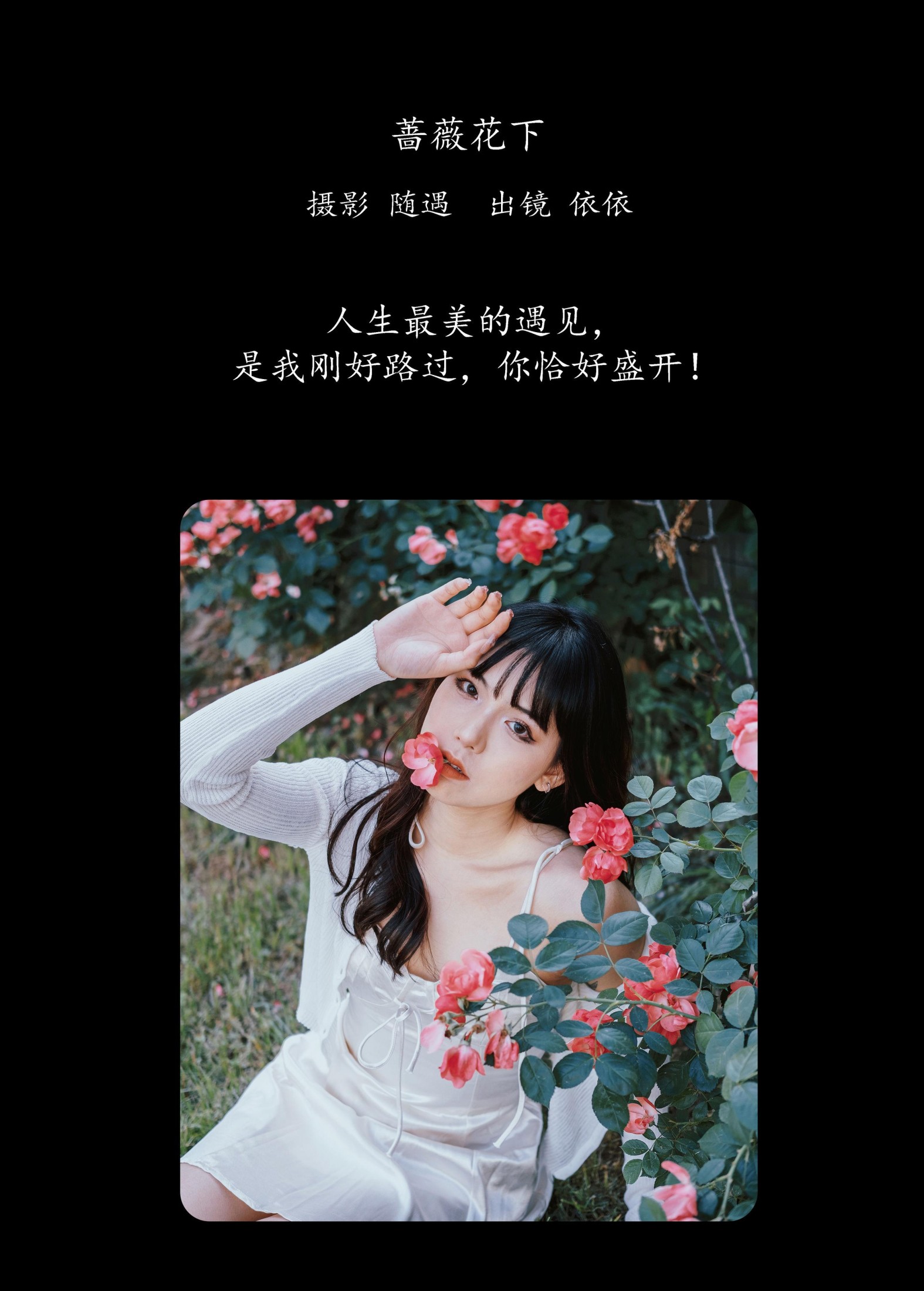 图片[2] - 依依 - 《蔷薇花下》[25P] - 机器猫次元 - 机器猫次元