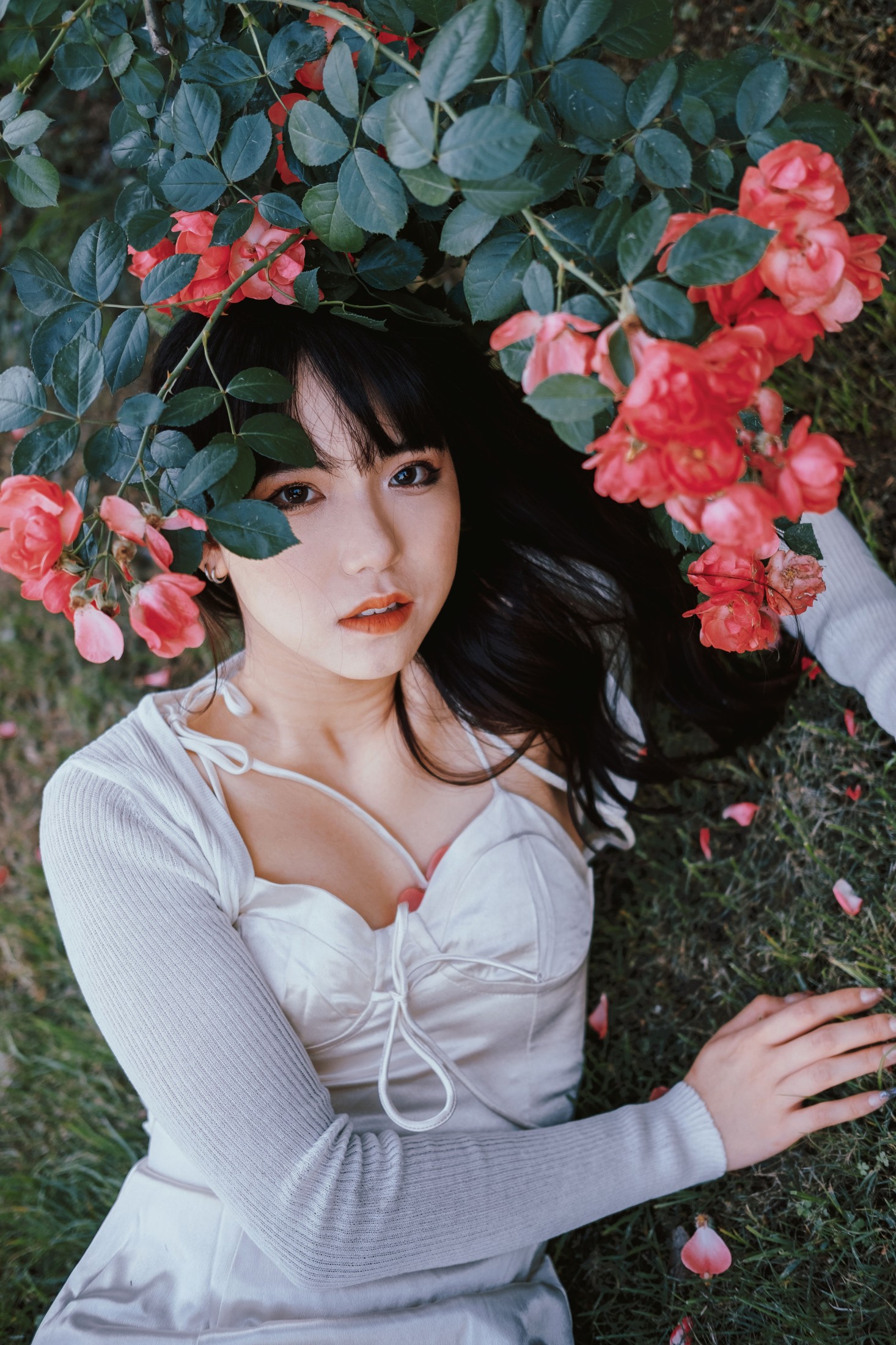 图片[3] - 依依 - 《蔷薇花下》[25P] - 机器猫次元 - 机器猫次元