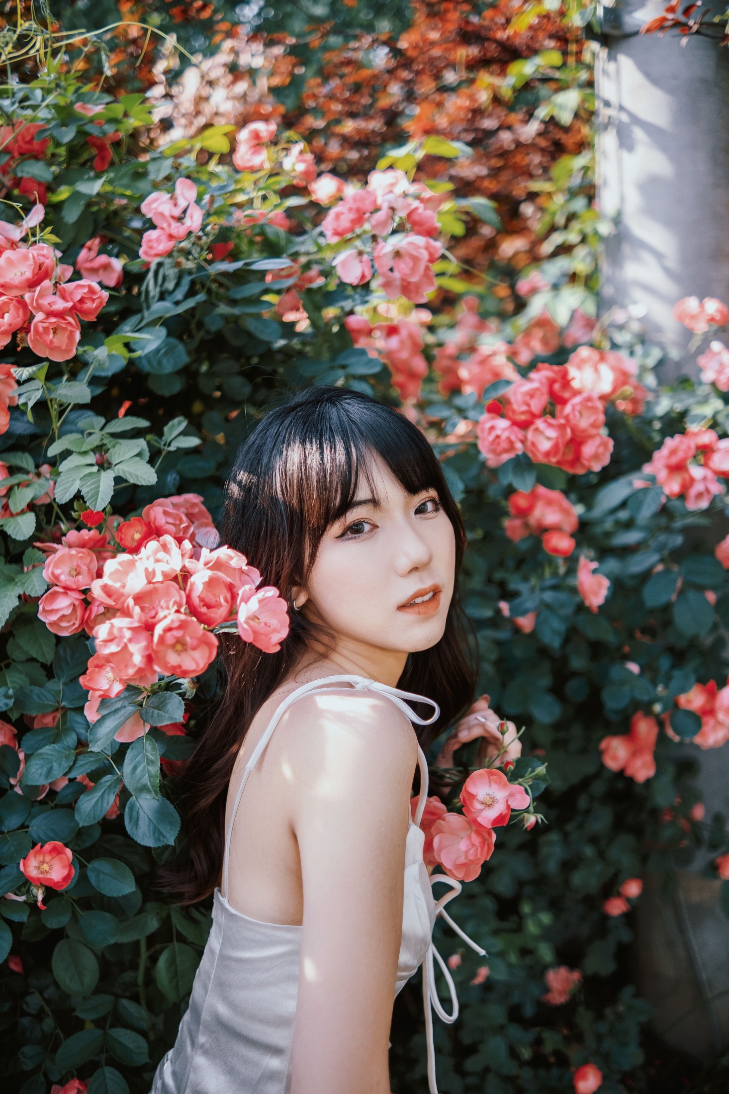 图片[4] - 依依 - 《蔷薇花下》[25P] - 机器猫次元 - 机器猫次元