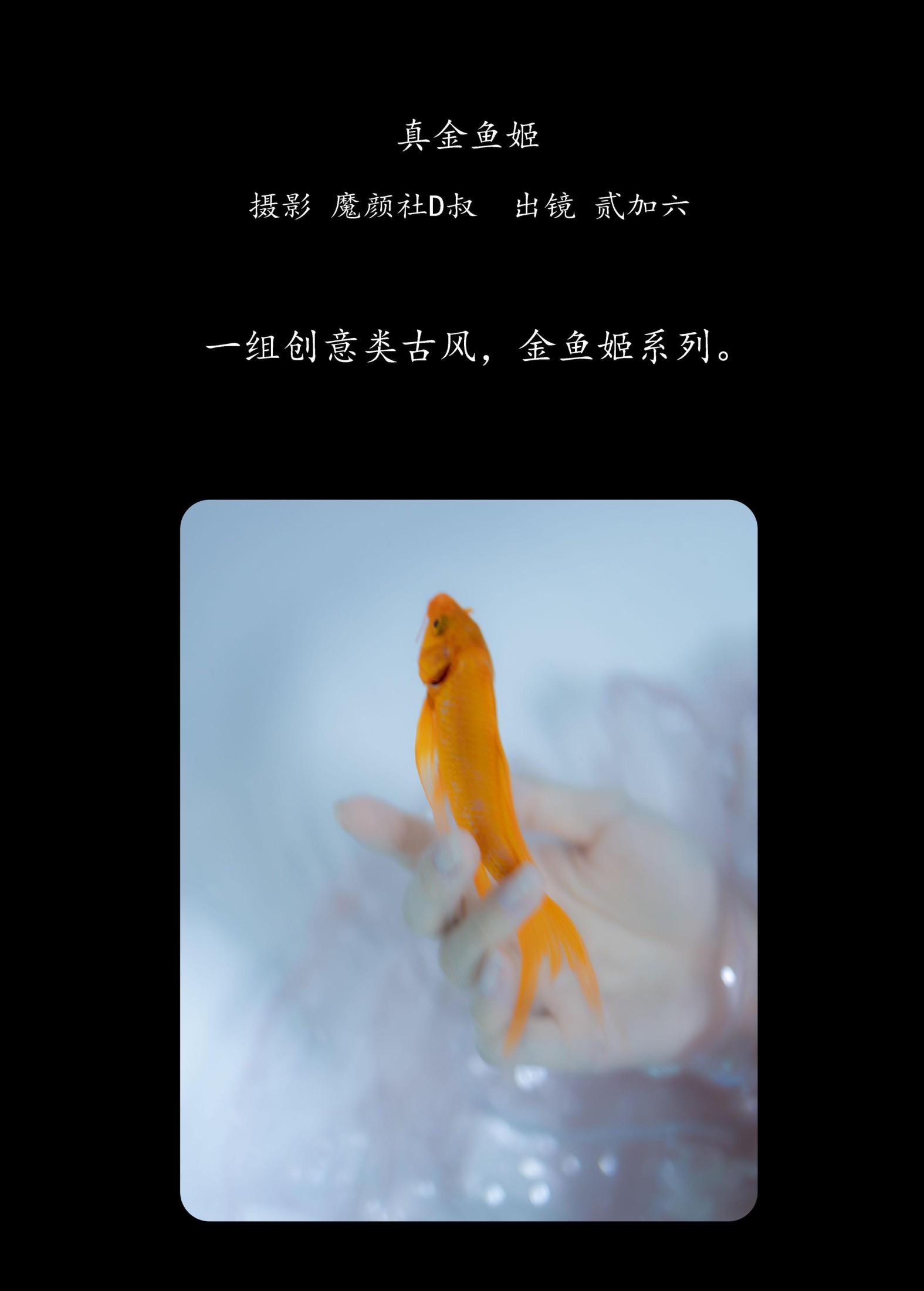 图片[2] - 贰加六 - 《真金鱼姬》[28P] - 机器猫次元 - 机器猫次元