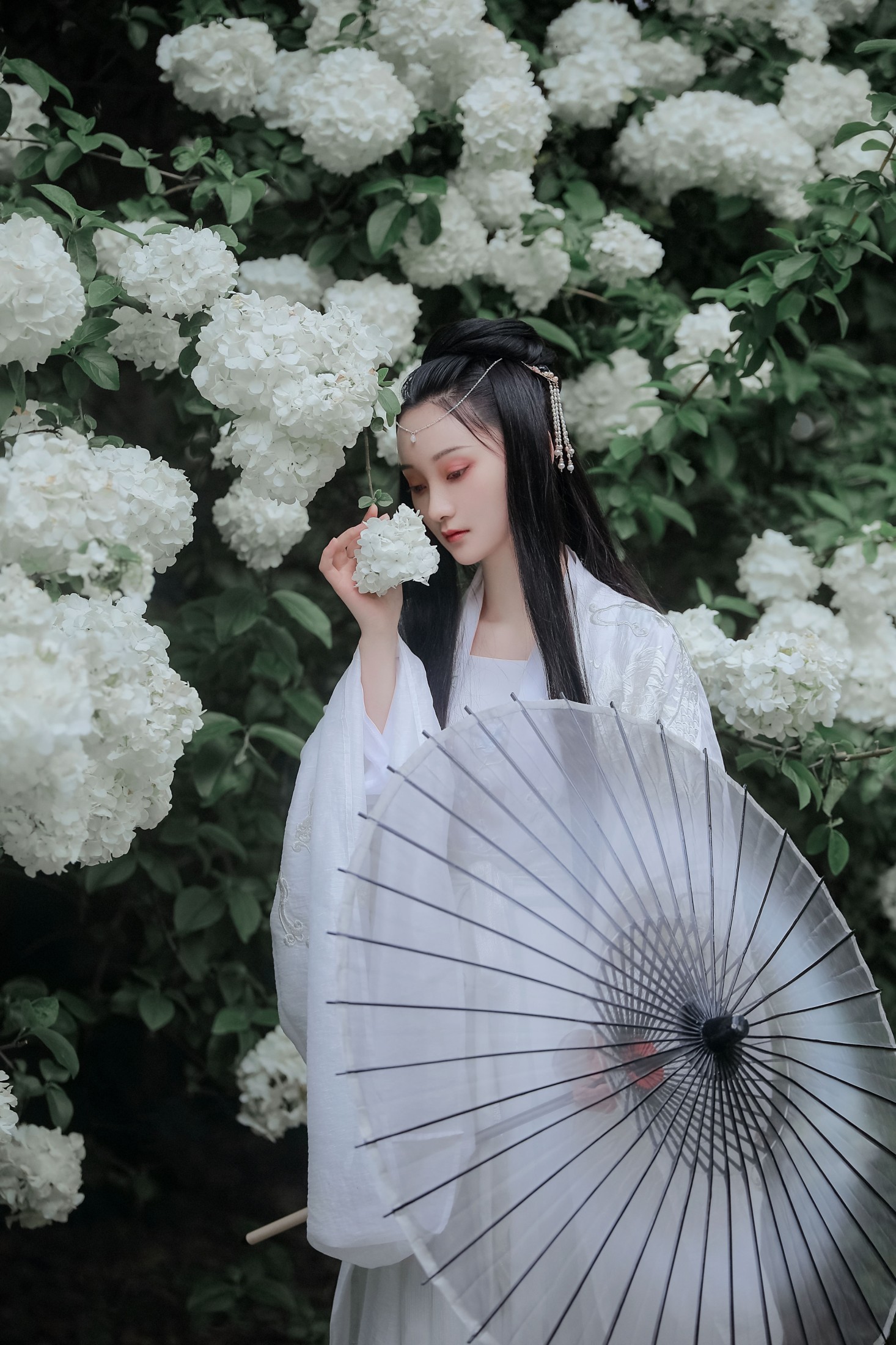 图片[7] - 云之是小狐狸吖 - 《琼花并貌》[22P] - 机器猫次元 - 机器猫次元