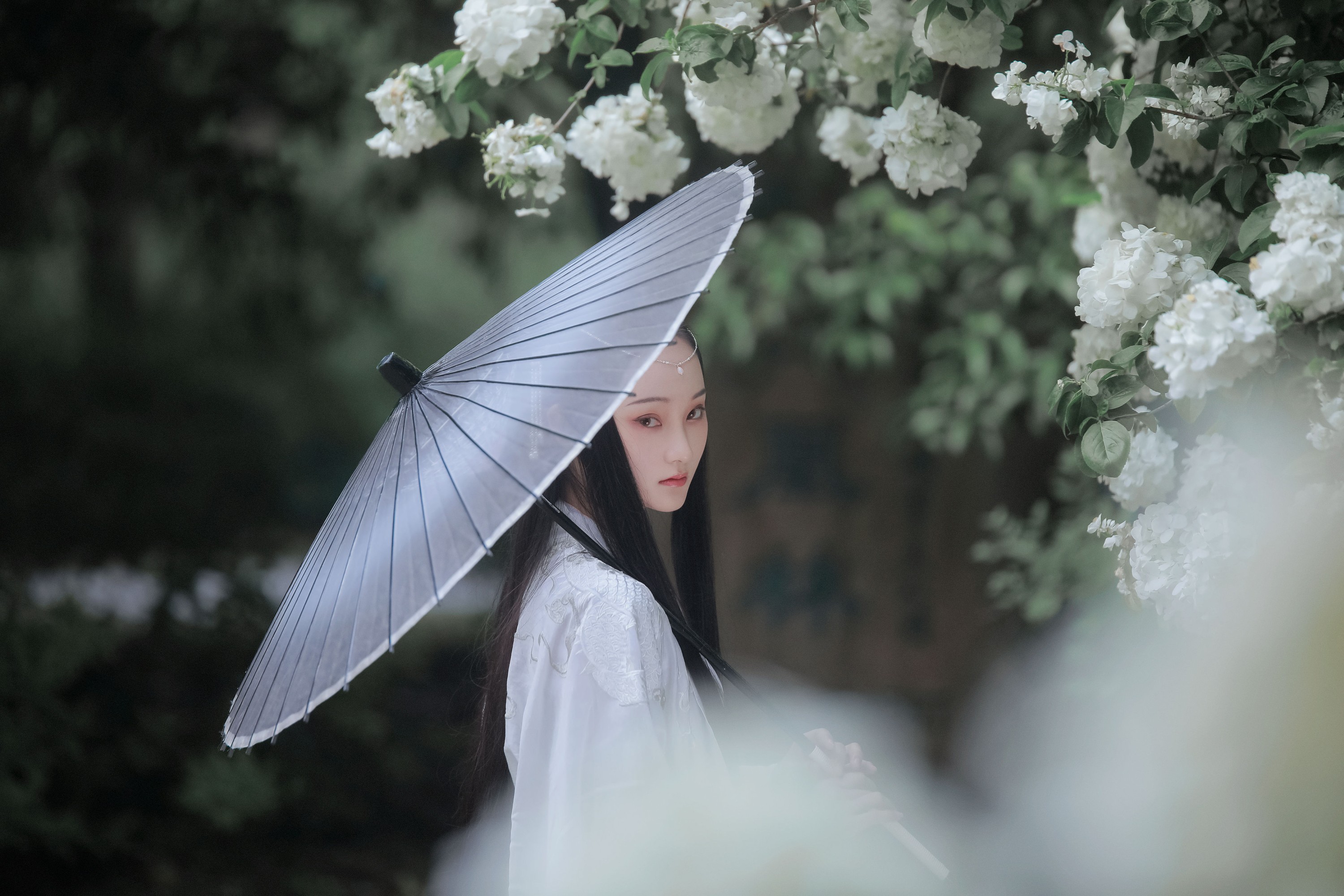 图片[5] - 云之是小狐狸吖 - 《琼花并貌》[22P] - 机器猫次元 - 机器猫次元