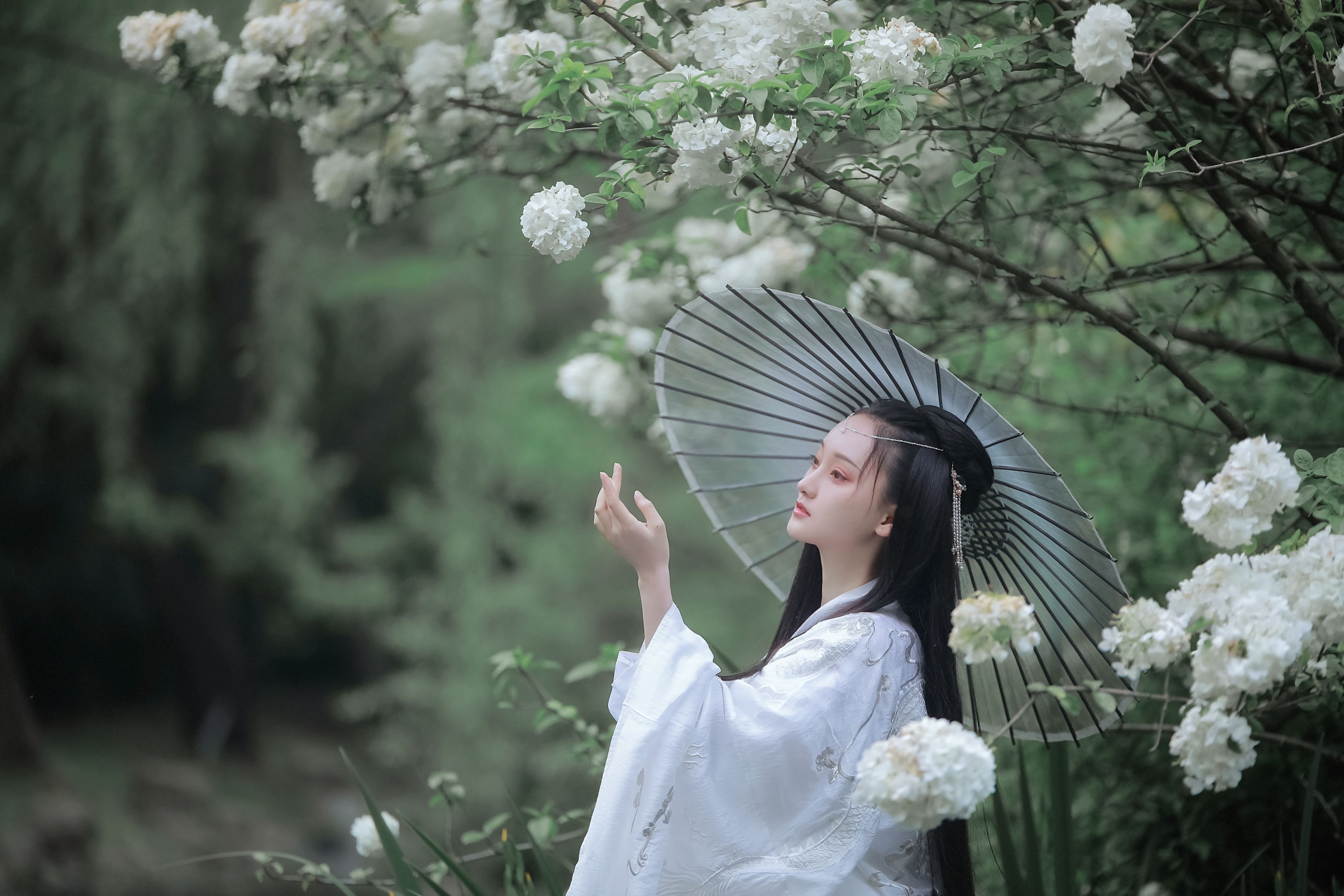 图片[4] - 云之是小狐狸吖 - 《琼花并貌》[22P] - 机器猫次元 - 机器猫次元