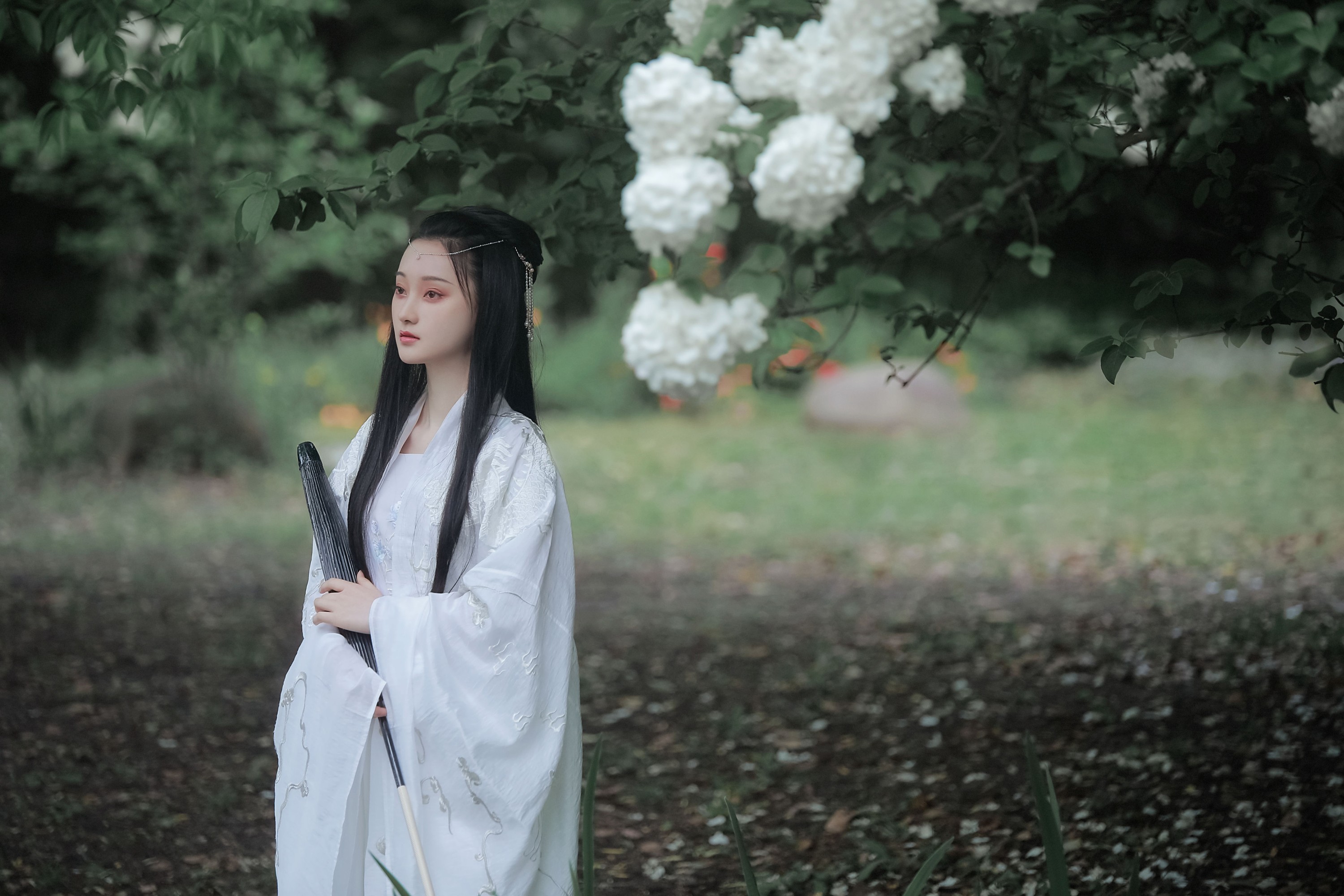 图片[3] - 云之是小狐狸吖 - 《琼花并貌》[22P] - 机器猫次元 - 机器猫次元